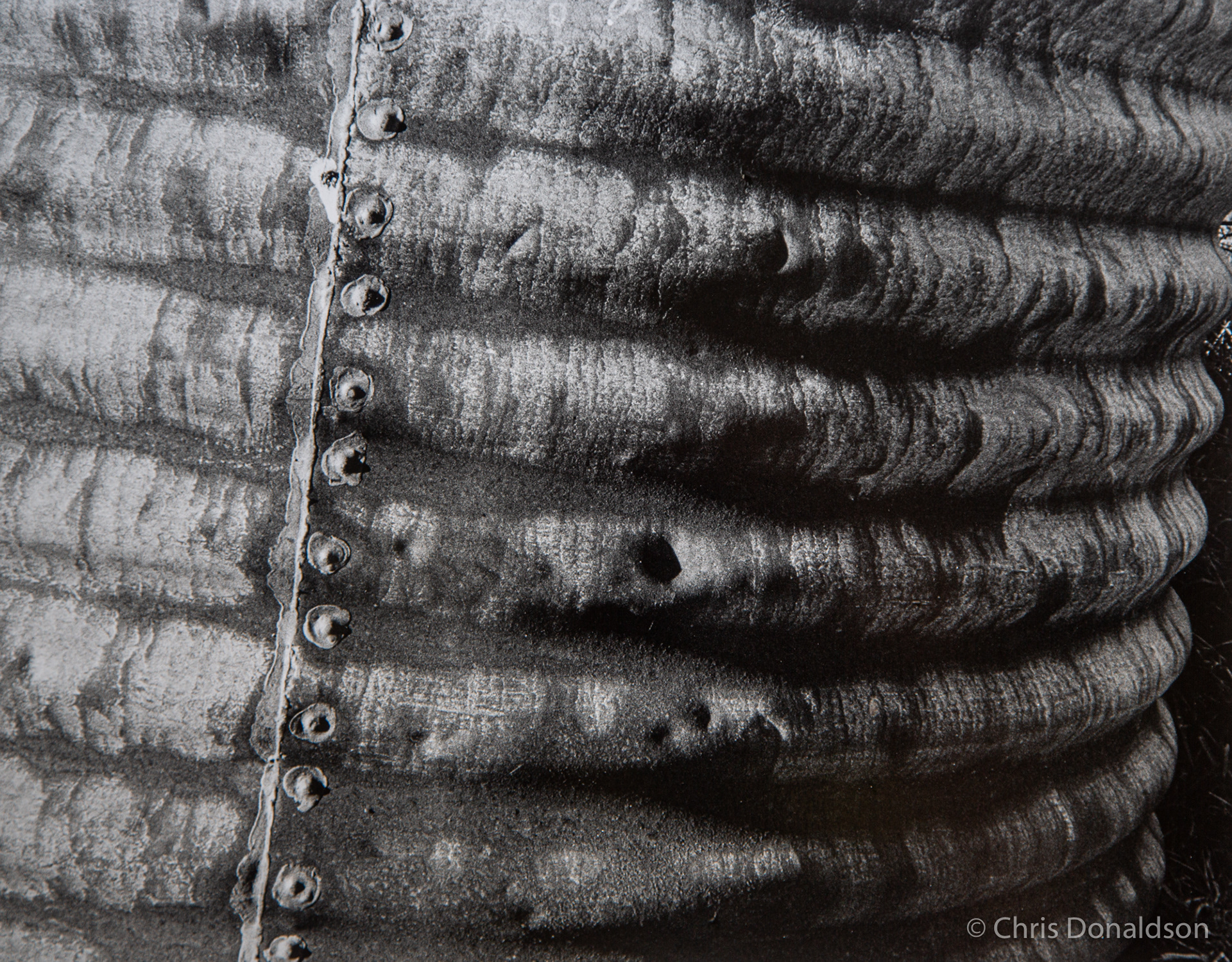 Holding Pattern - Delegate, 2014