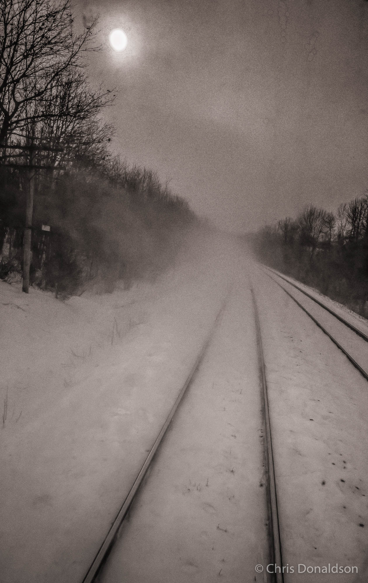 Rear Window, Canada, 2015