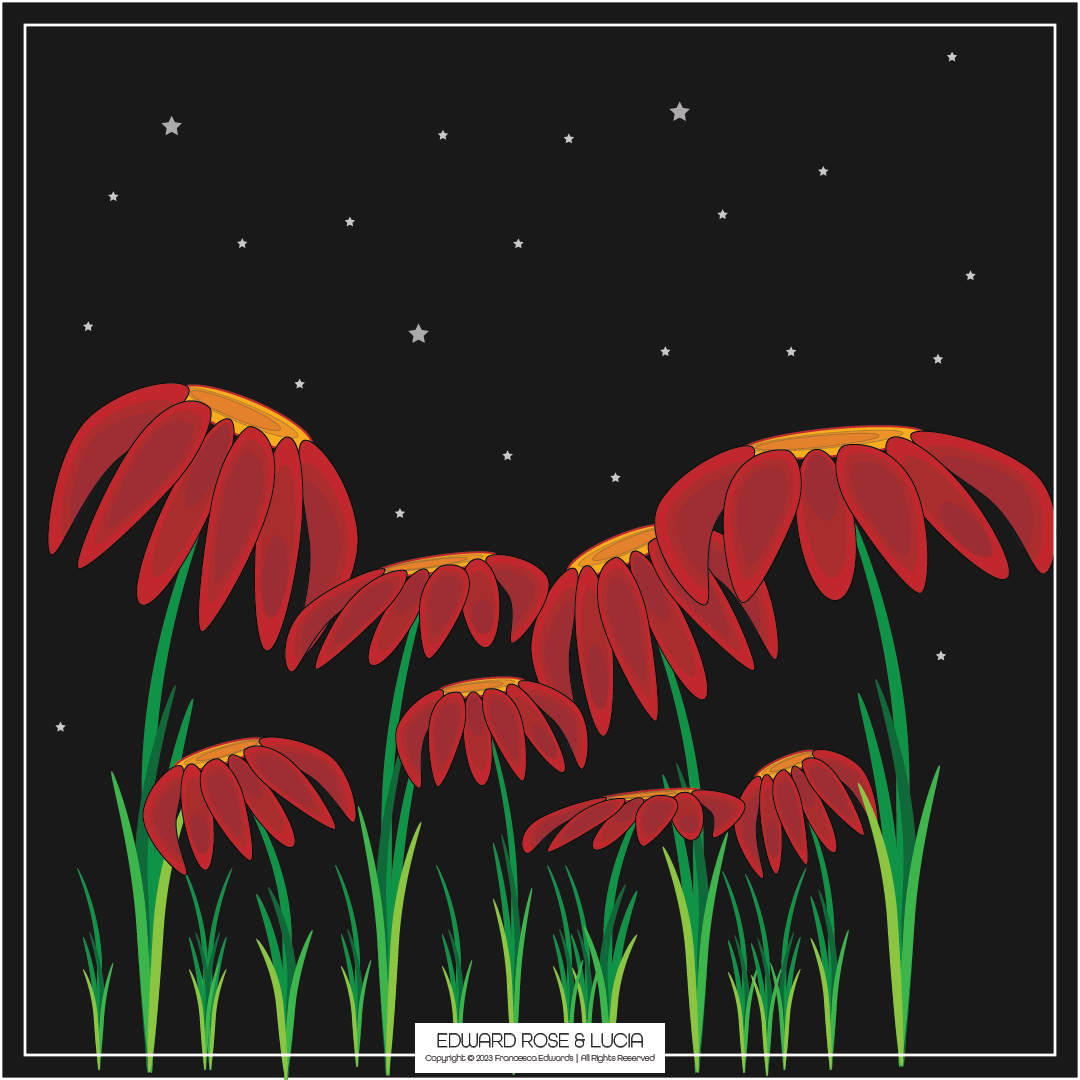 Digital Illustration - Night Flowers