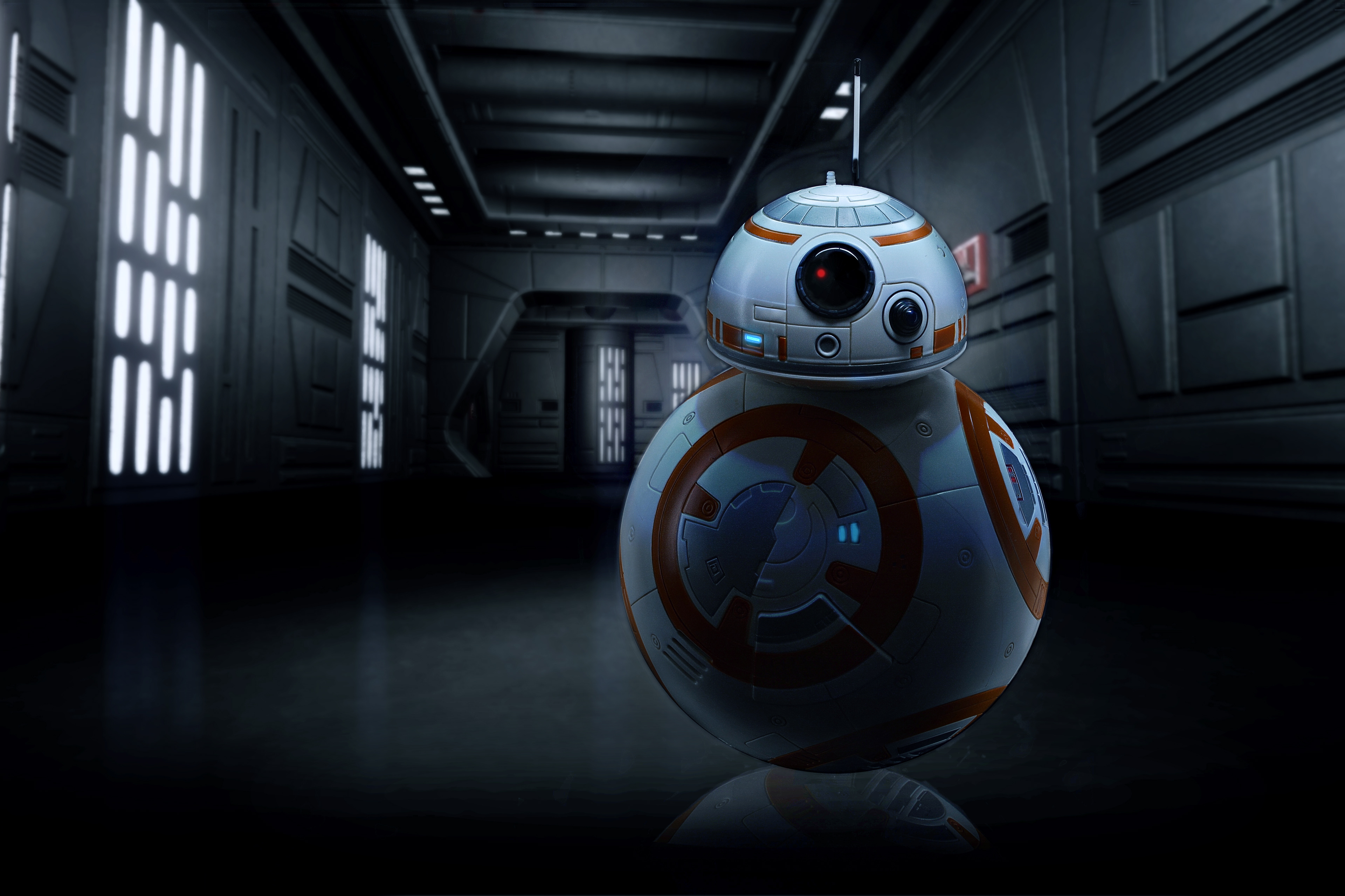 Toy product photography