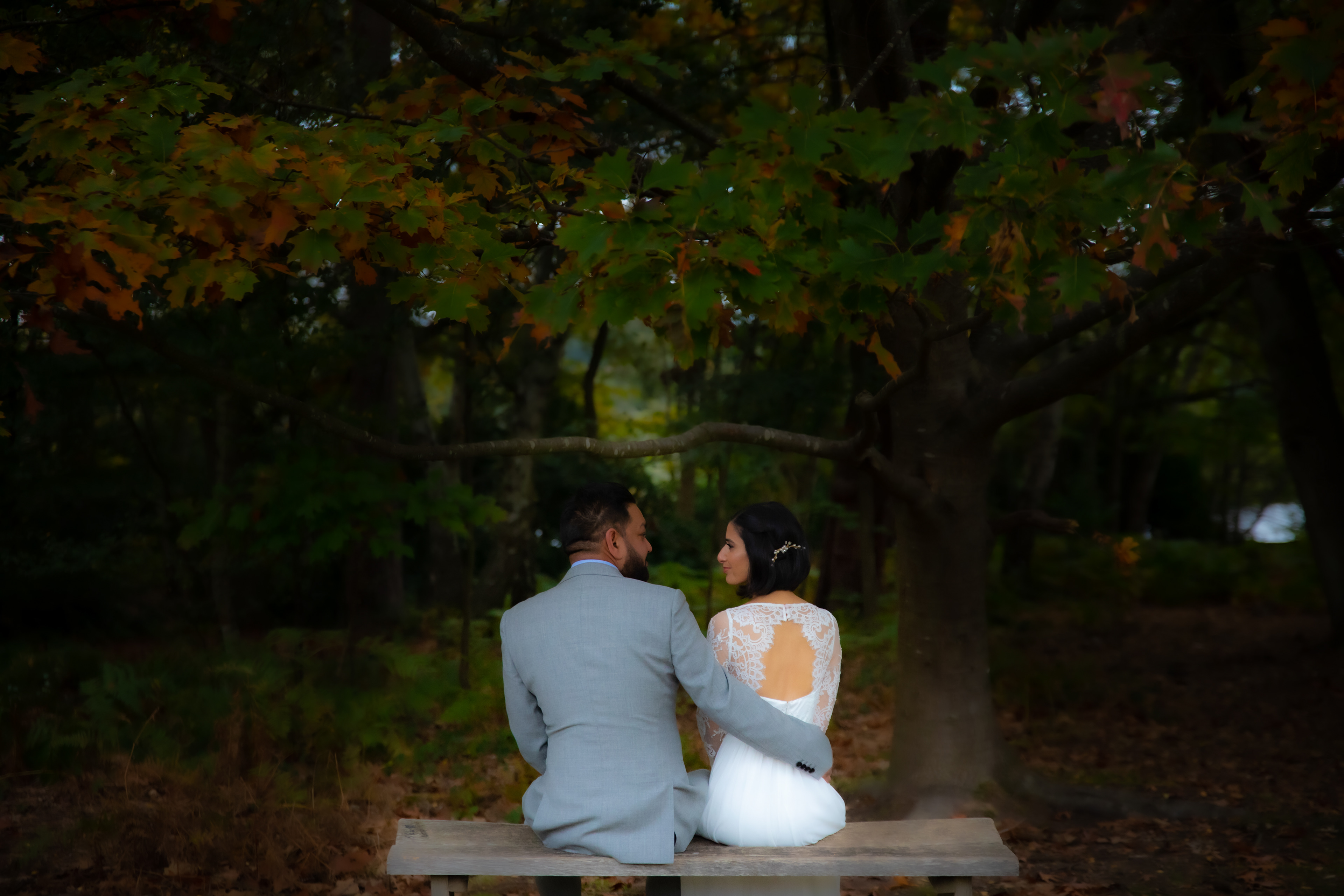 Virginia Waters Bride & Groom sitting Tree shot