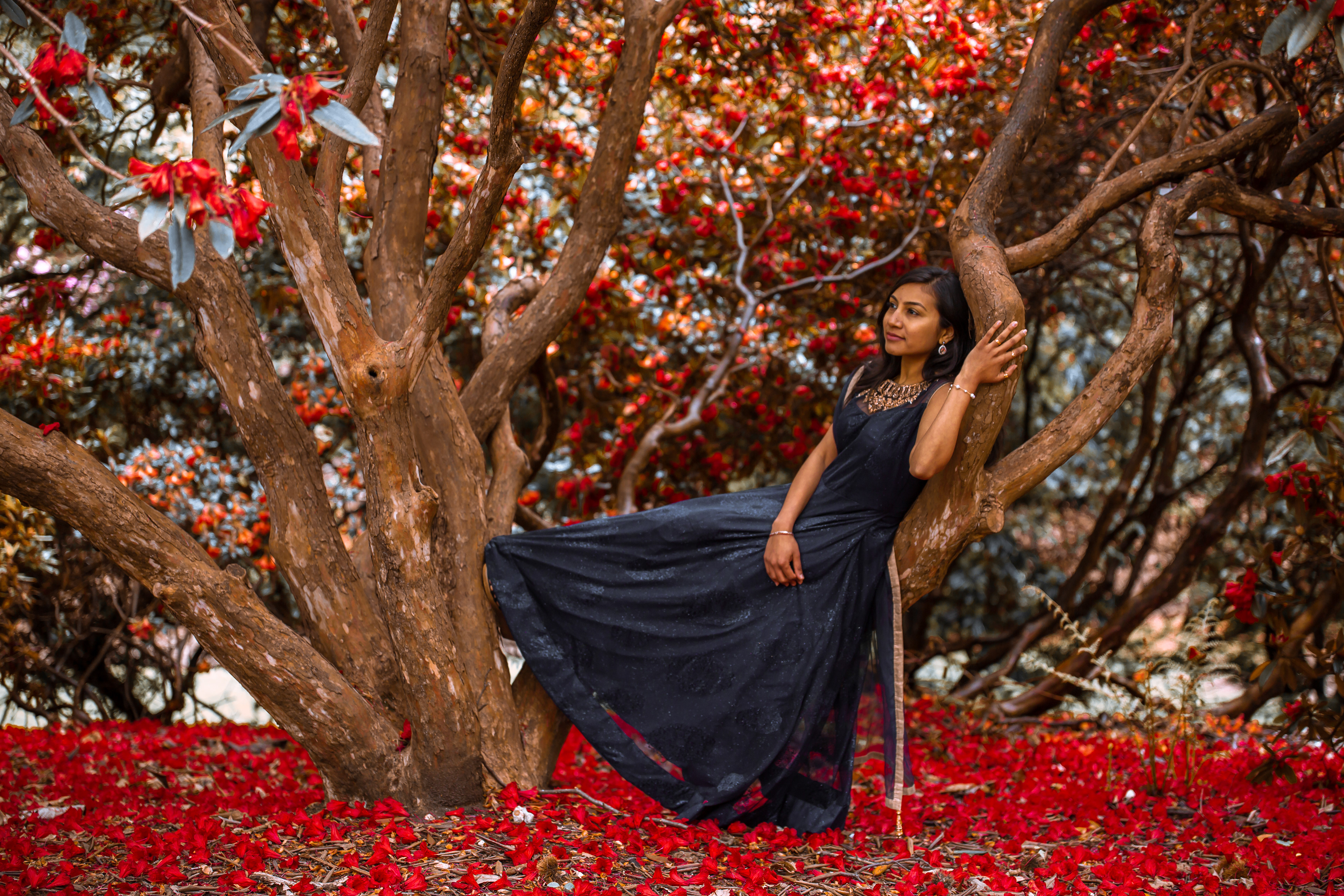 Tree Shot of Bride