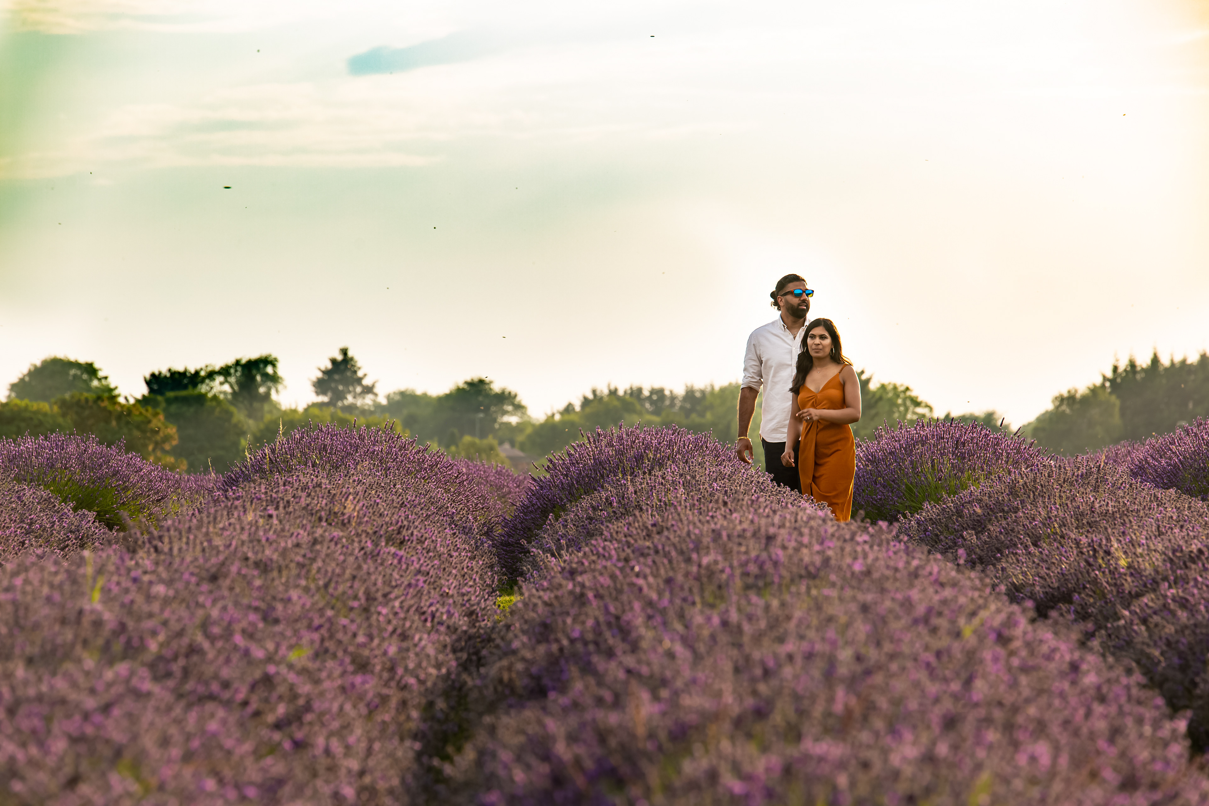 Mayfair Lavender Fields, Pre Shoot of Bride and Groom