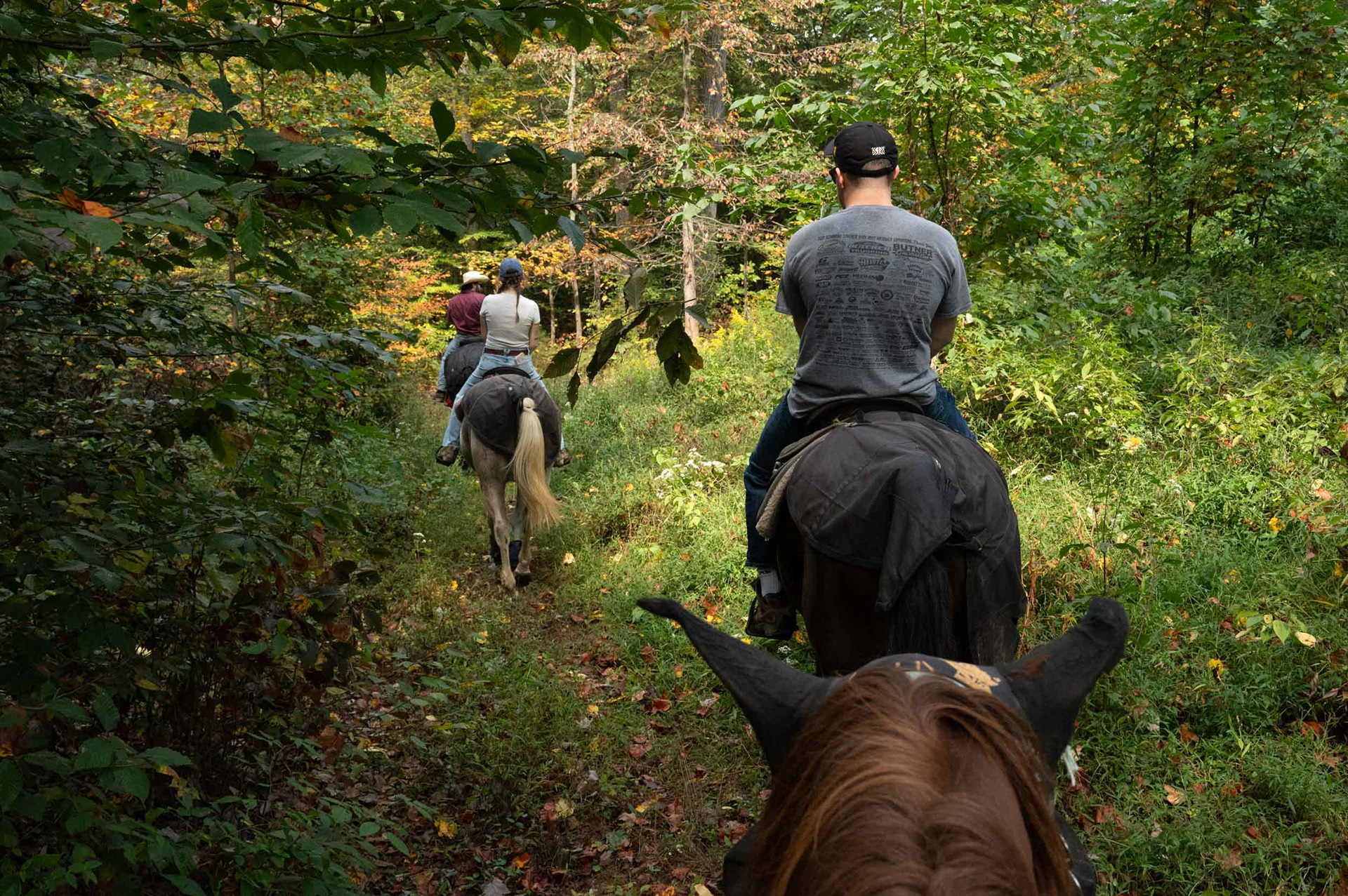 In New Marshfield, OH, Uncle Bucks attracts a variety of different people. Joe and Jules, begin the 3rd day of their anniversary vacation following Mac Bentley through stretches of dense foliage, forests, and down steep hills . “Best part of my job has gotta be watching people develop confidence in horseback riding,” Bently said September 22nd, 2025. “People start off anxious and afraid to ride the horse; but by the end of the tour they feel confident in their ability to control their individual horse.” 