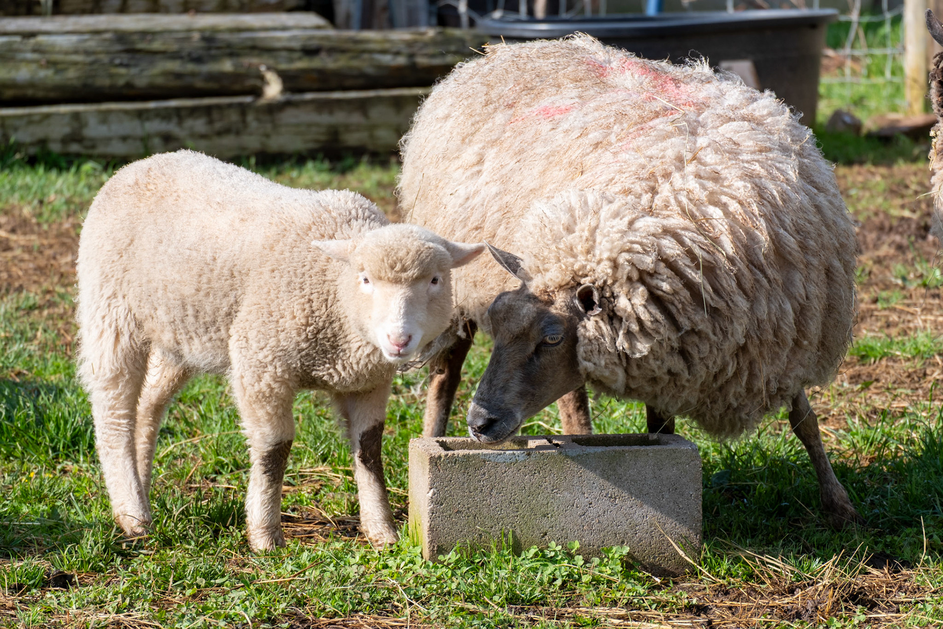 Hey! I'm Eatin' Here
