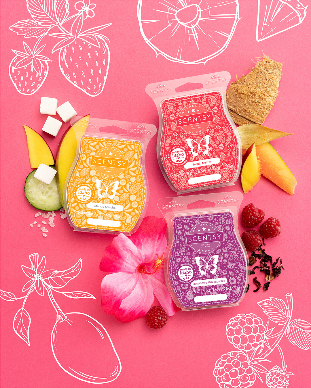 Illustrations for the Fruity Family of scents - 2023