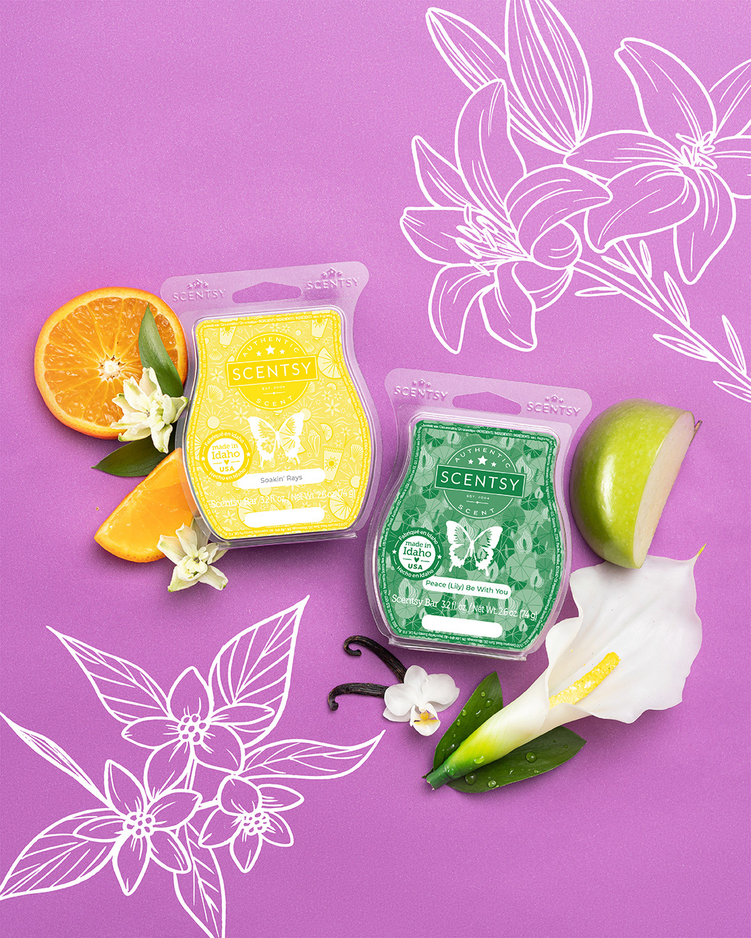Illustrations for the Floral Family of scents - 2023