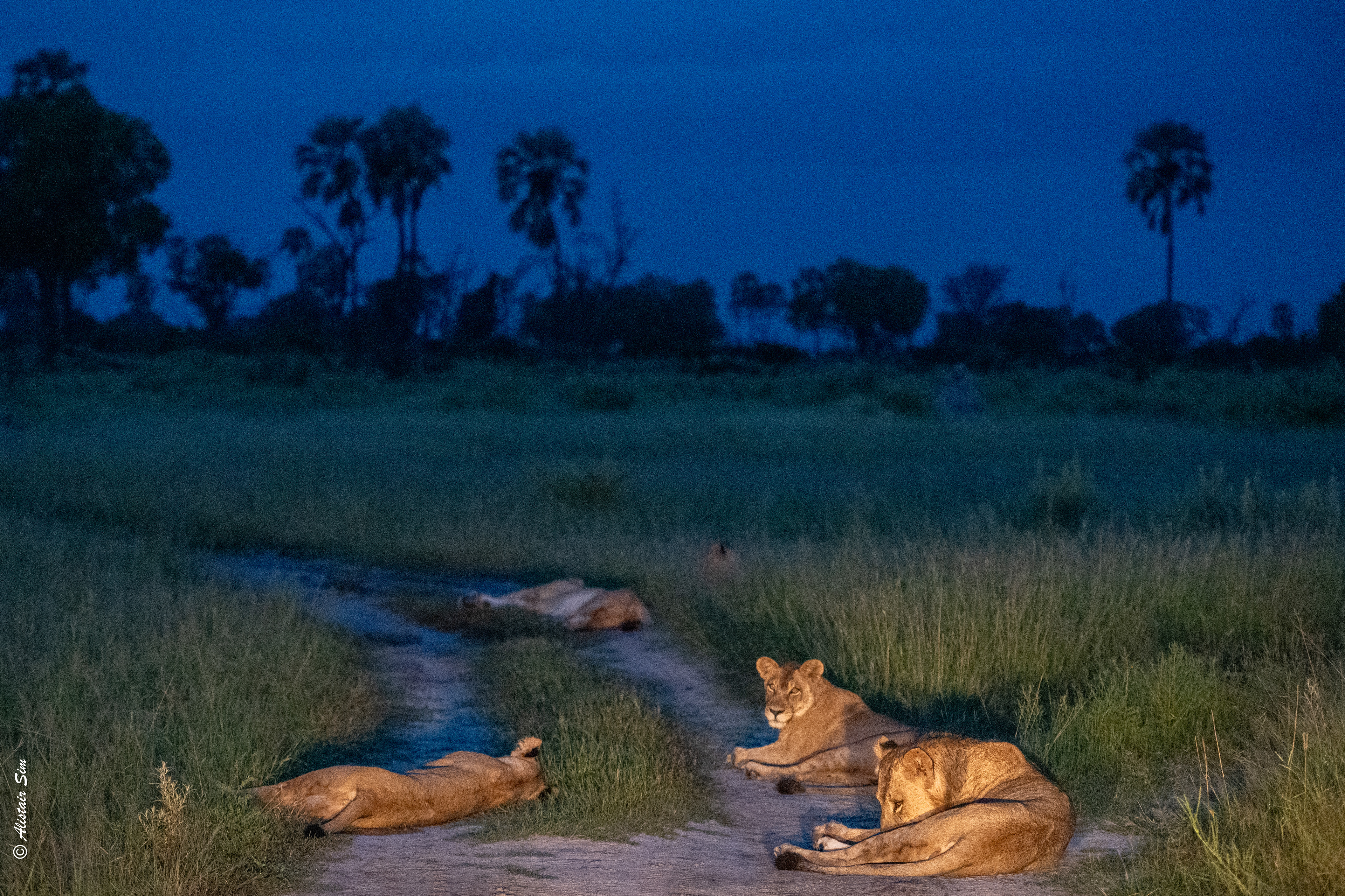 early morning congestion