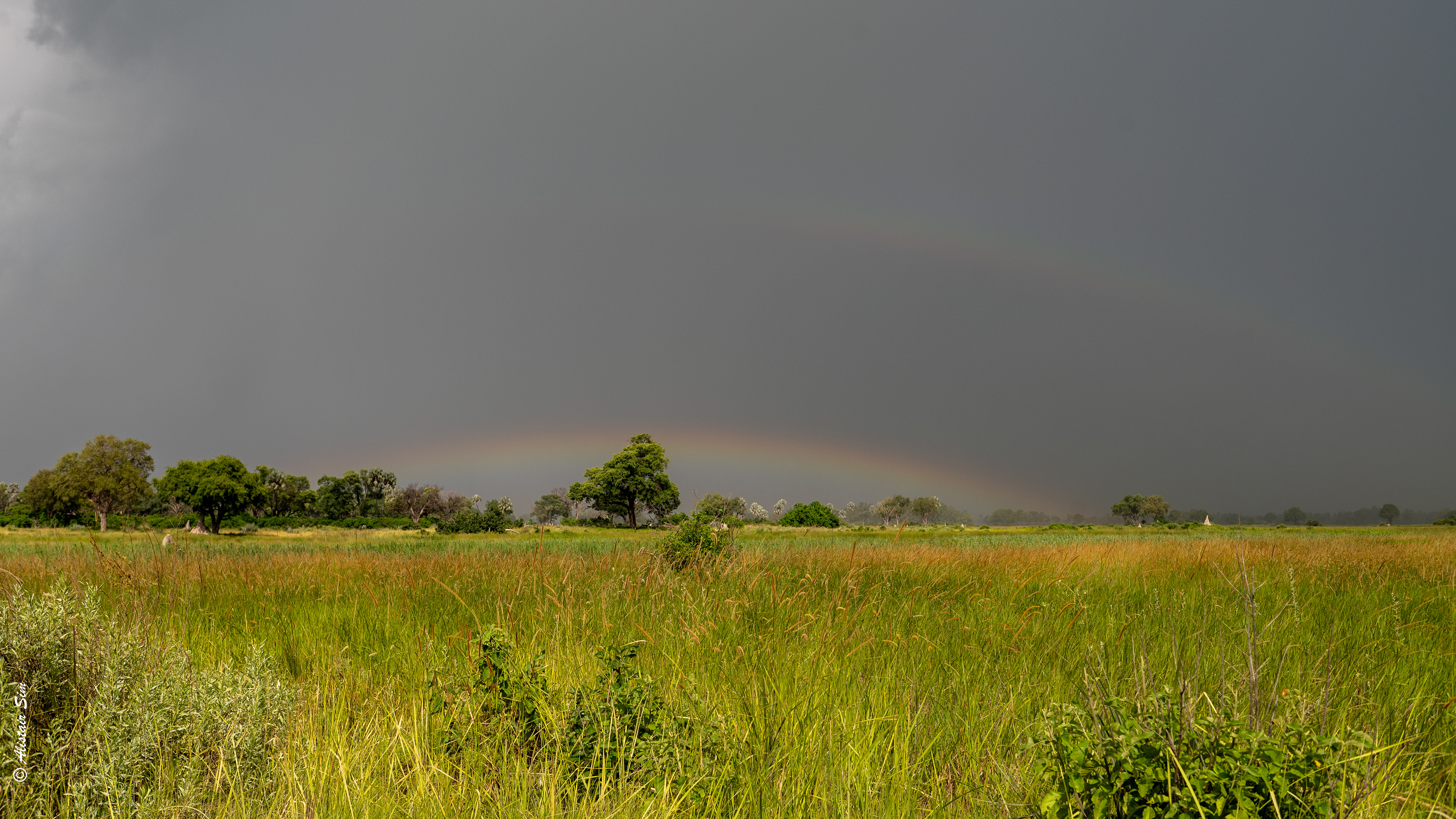 the approaching storm