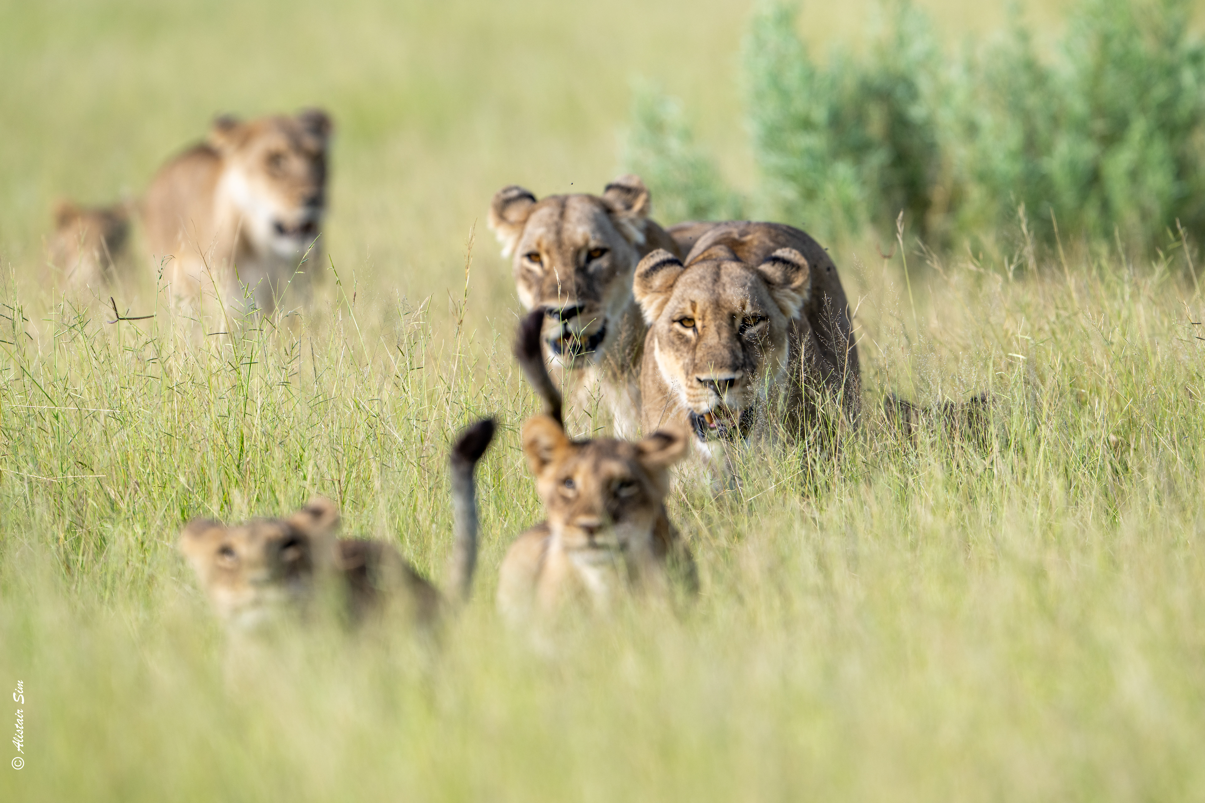 on the move