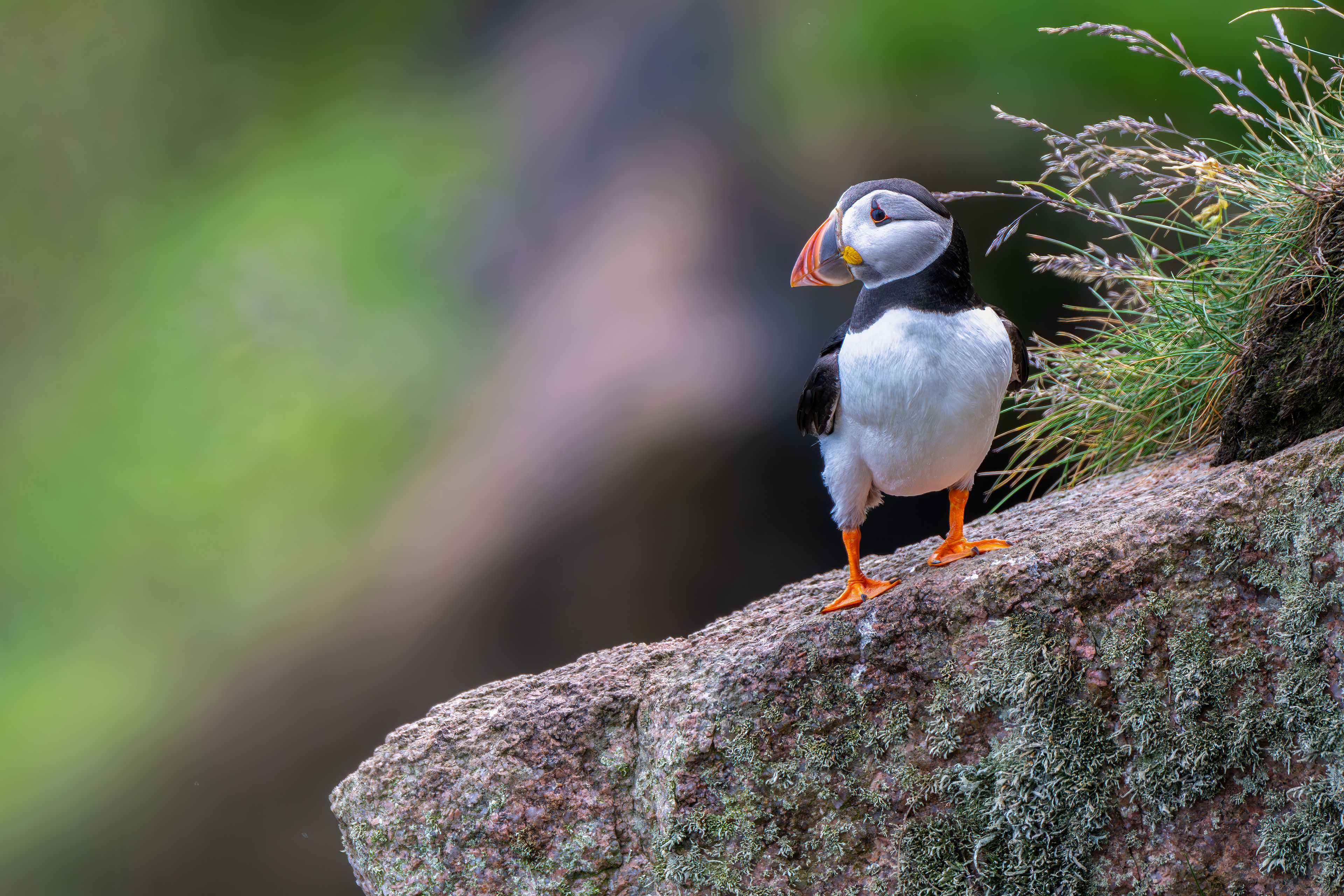 Bullers of Buchan, Scotland