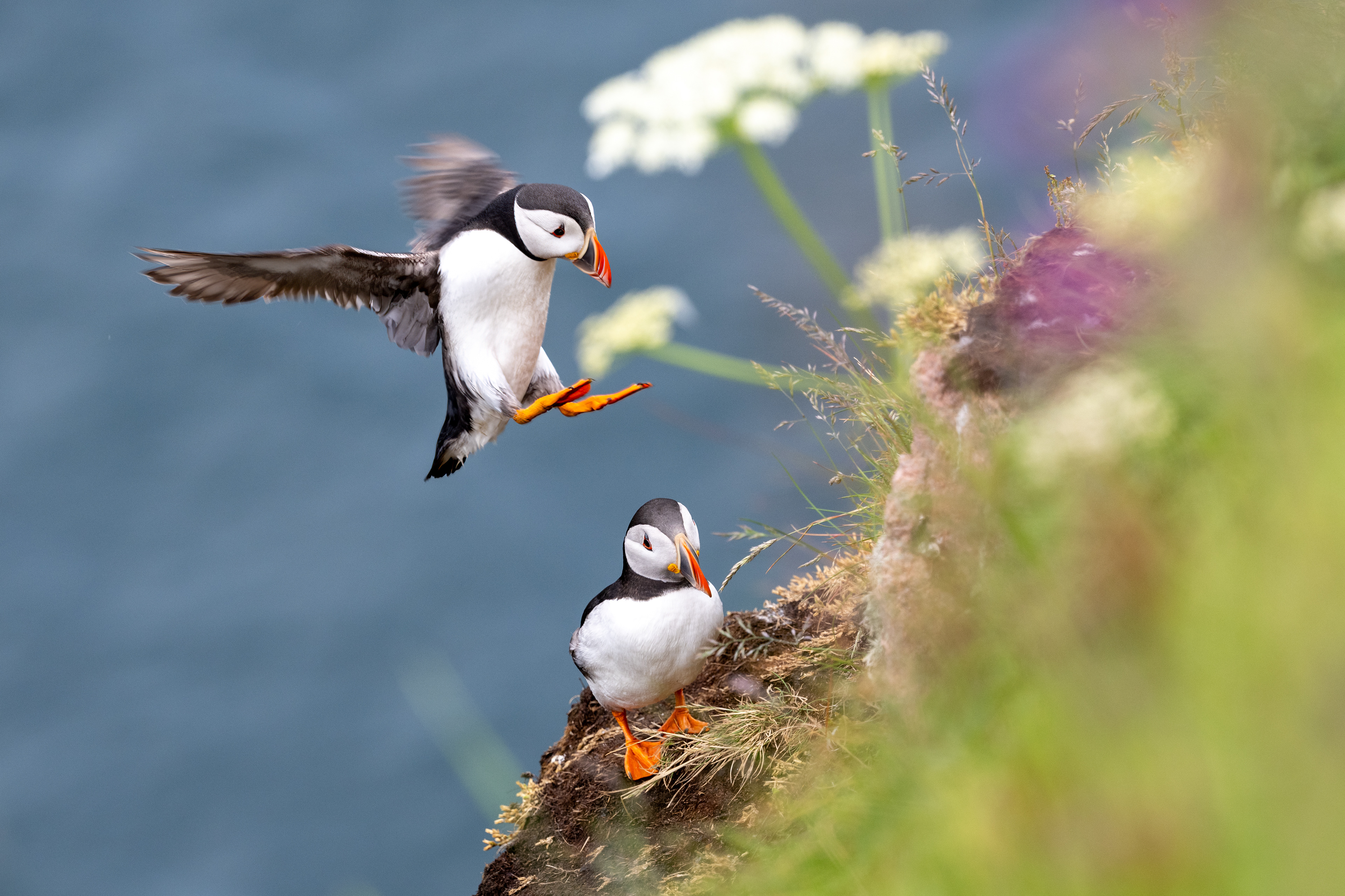 Bullers of Buchan, Scotland