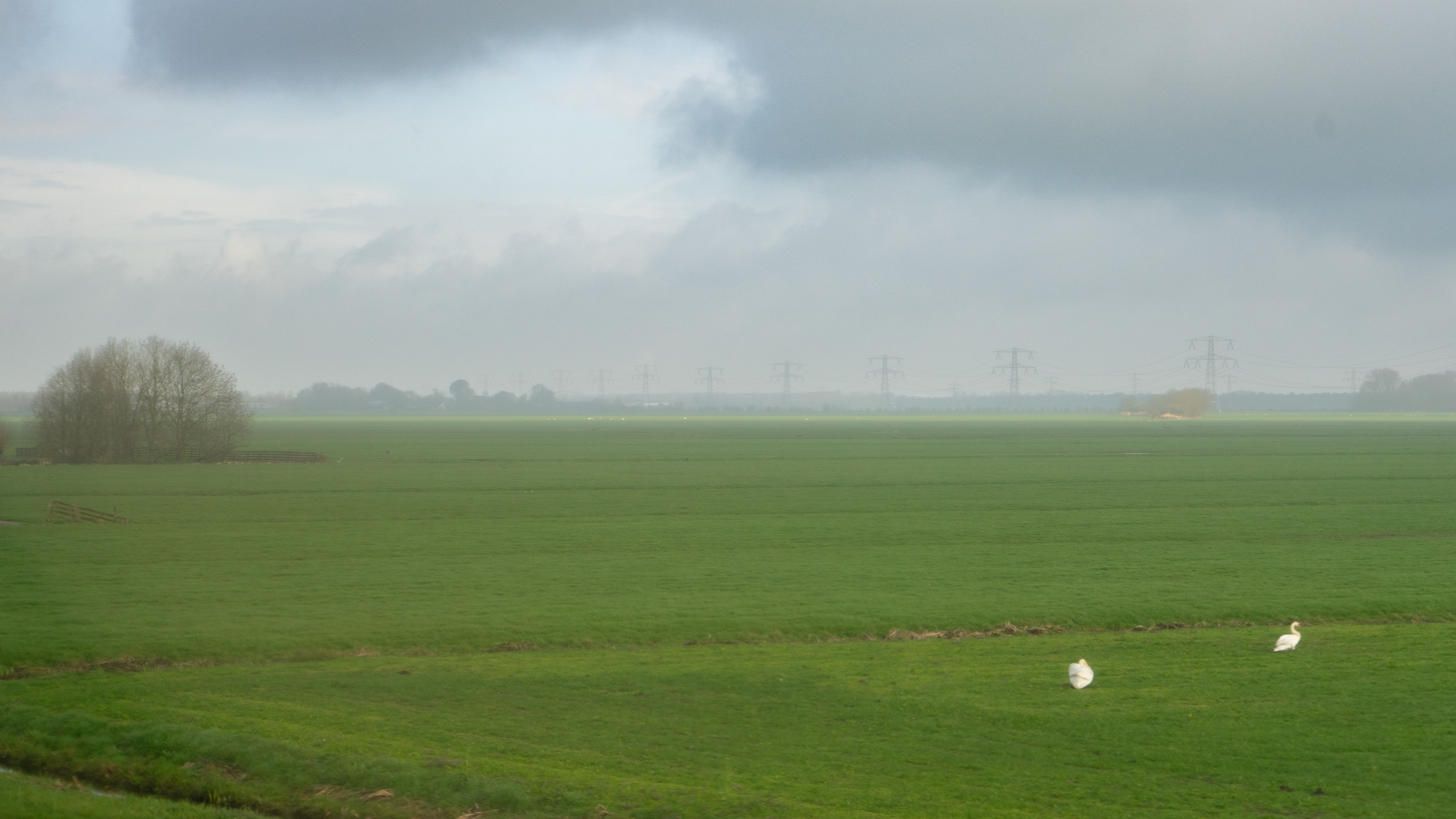 Monday morning, train