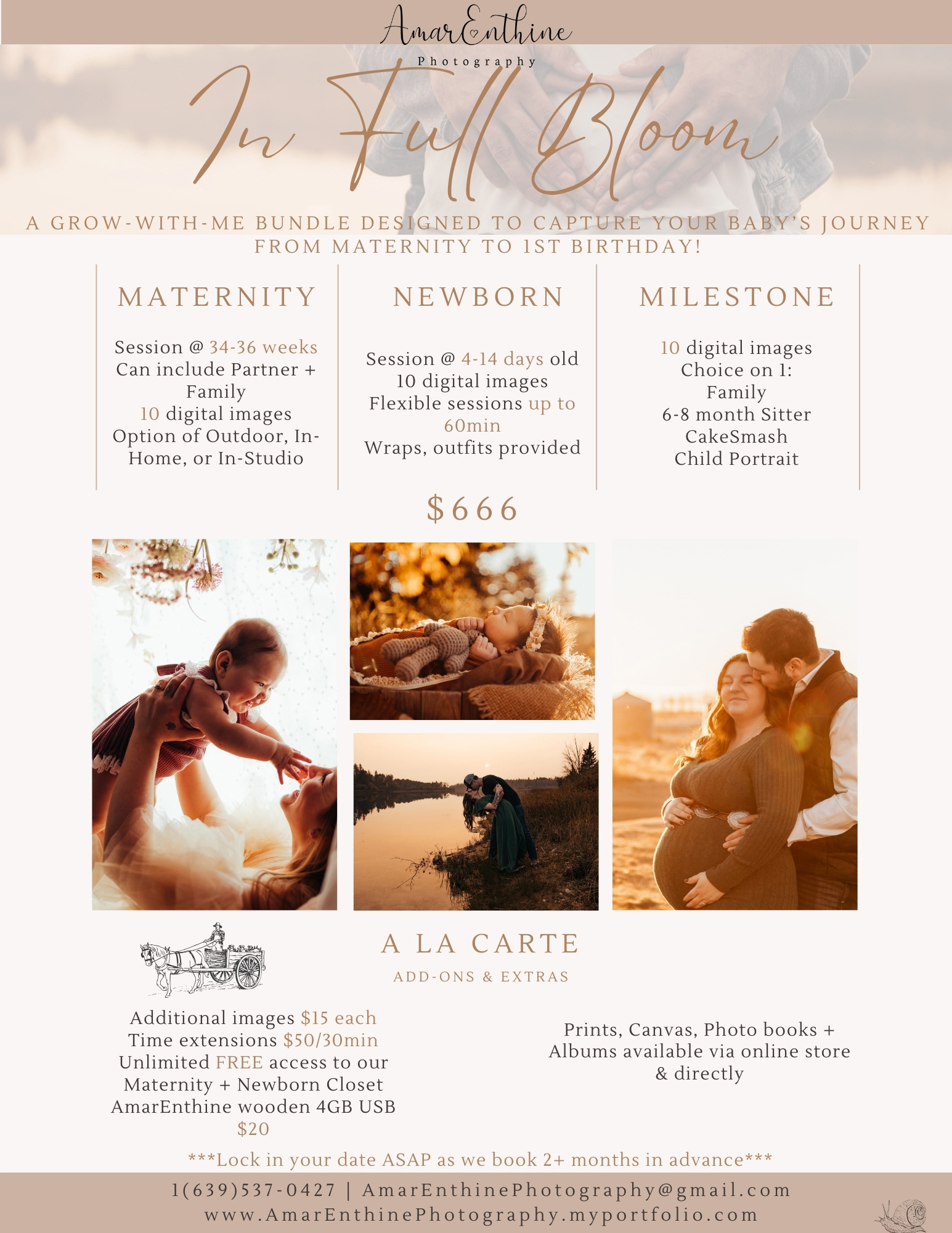 A 3 session Bundle designed for our mammas who want it all! including any 3 sessions (Maternity + Newborn + Cakesmash or Newborn + Family + Cakesmash etc)