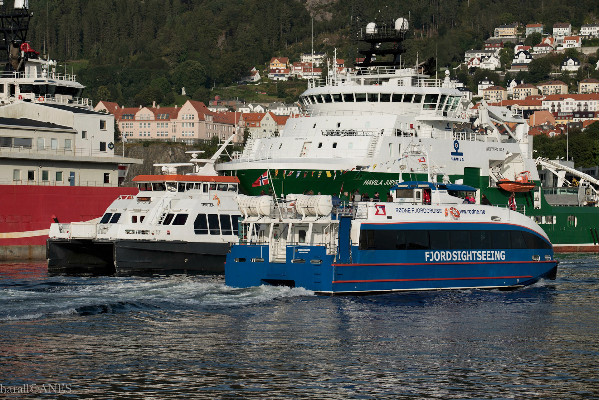 RygerCruise