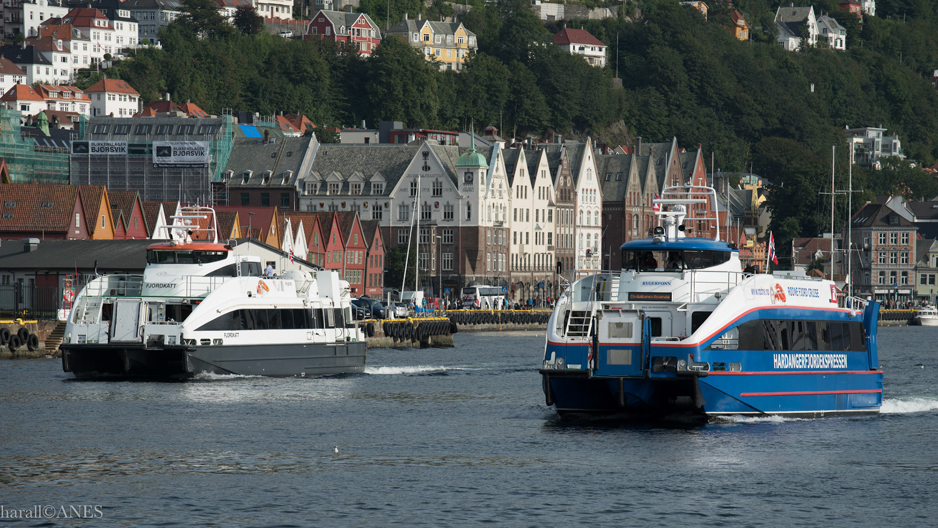 I Bergen 2015