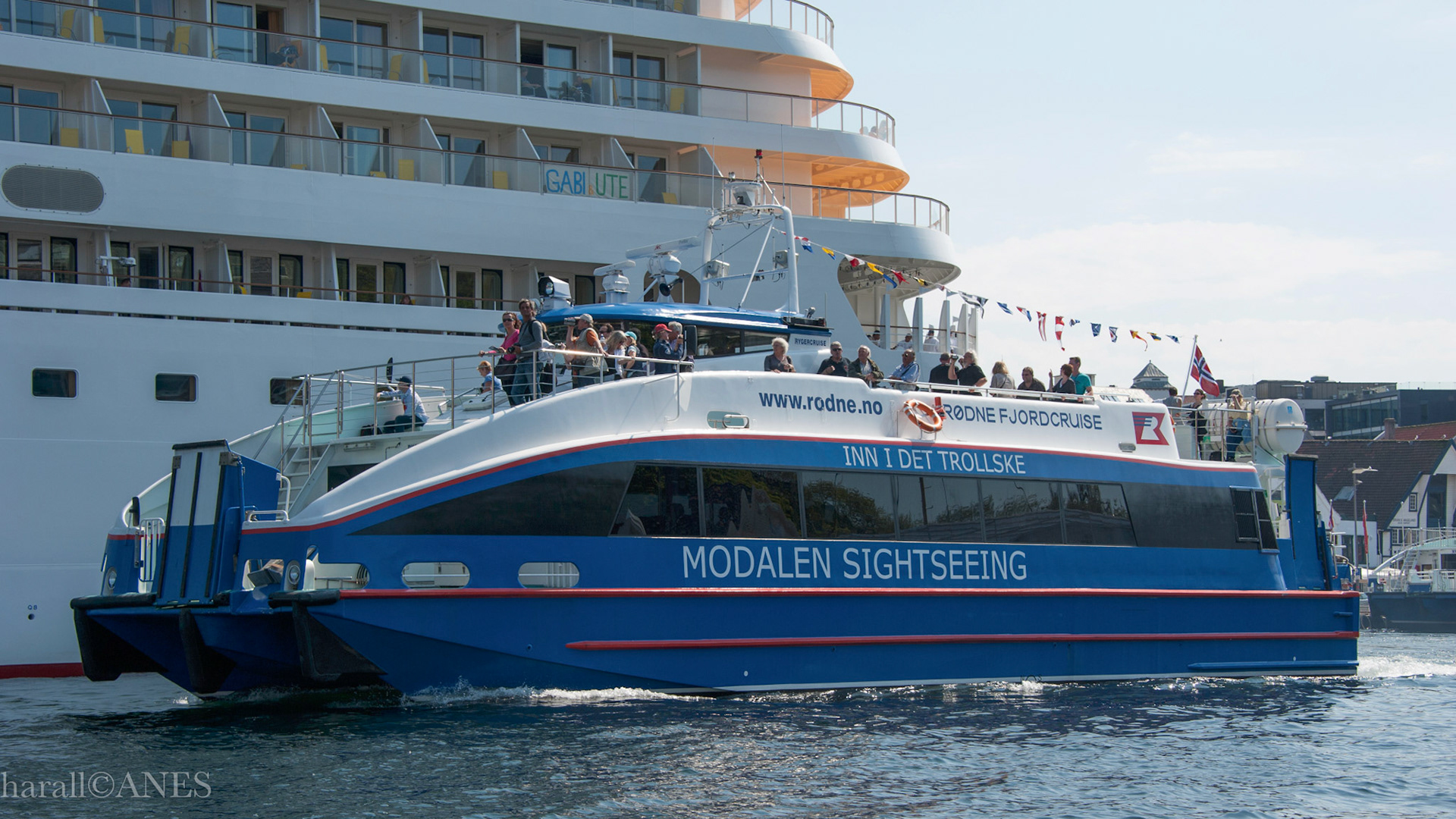 RygerCruise