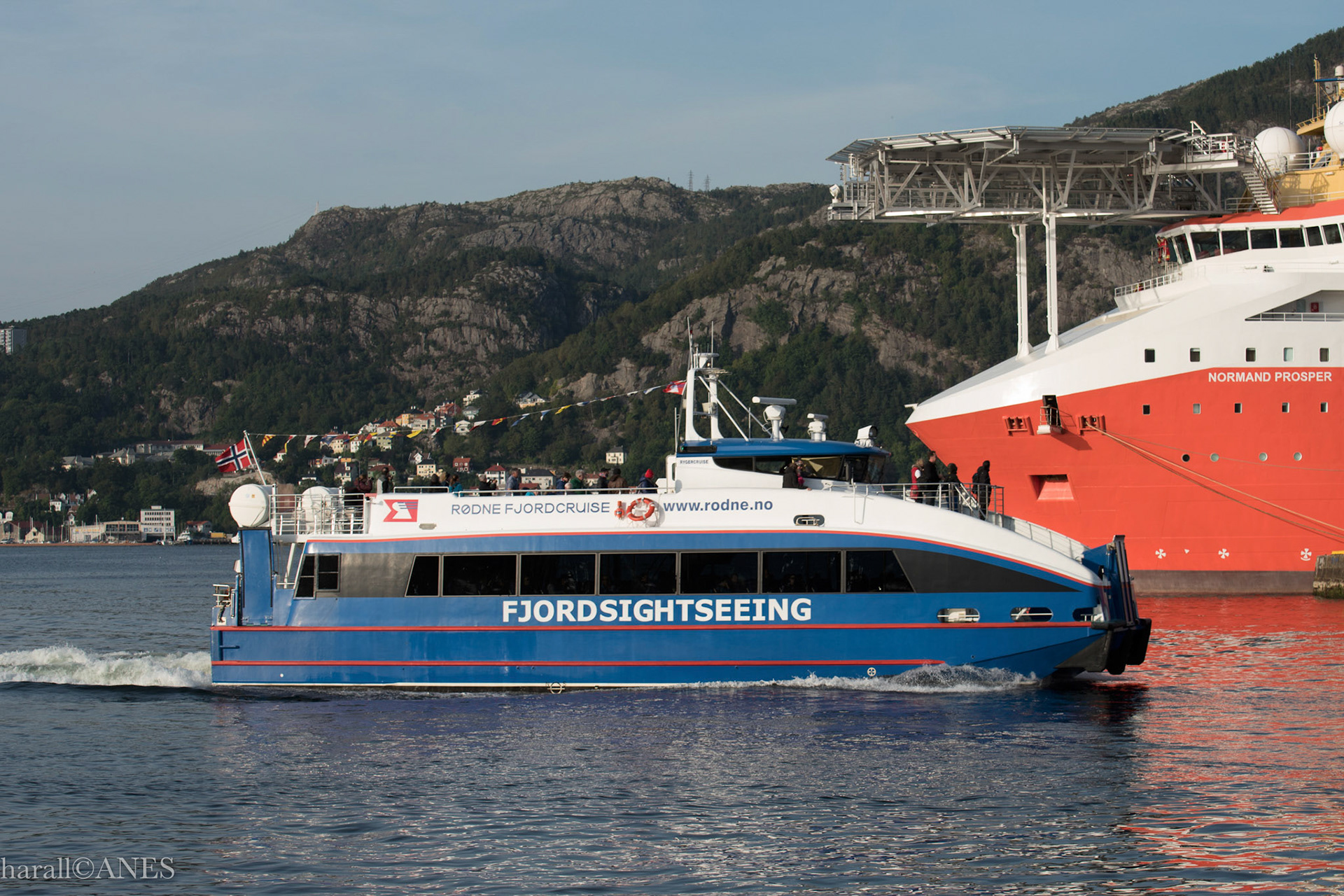 RygerCruise
