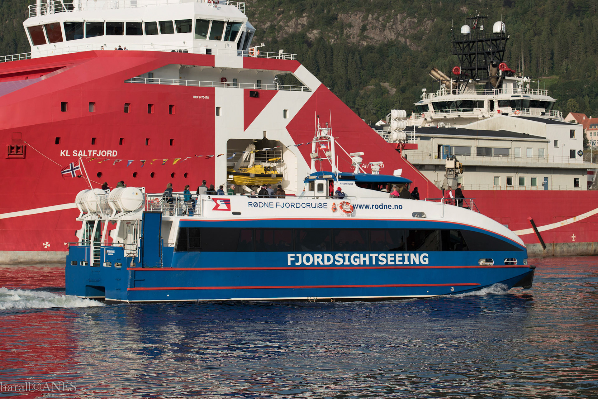 RygerCruise