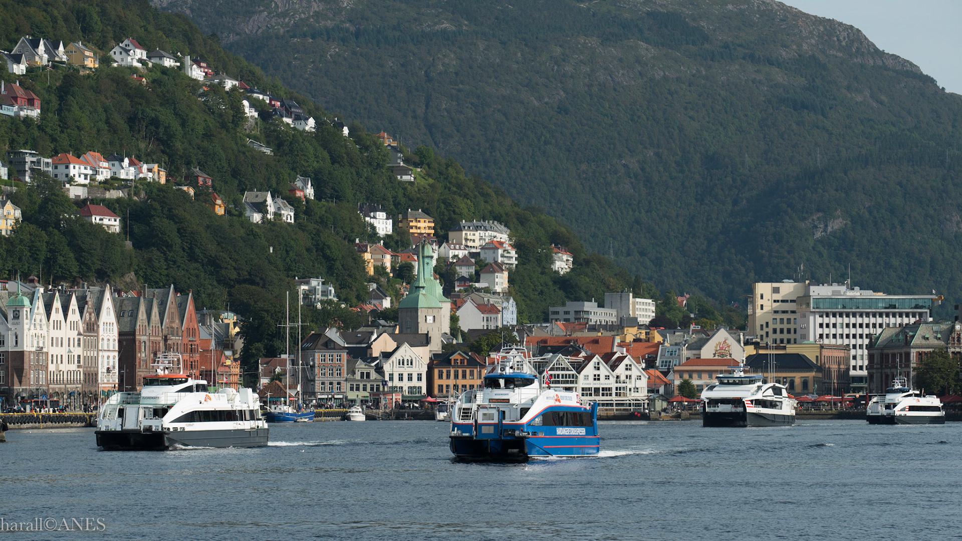 4 Stavanger-båter i Bergen på samme bilde...