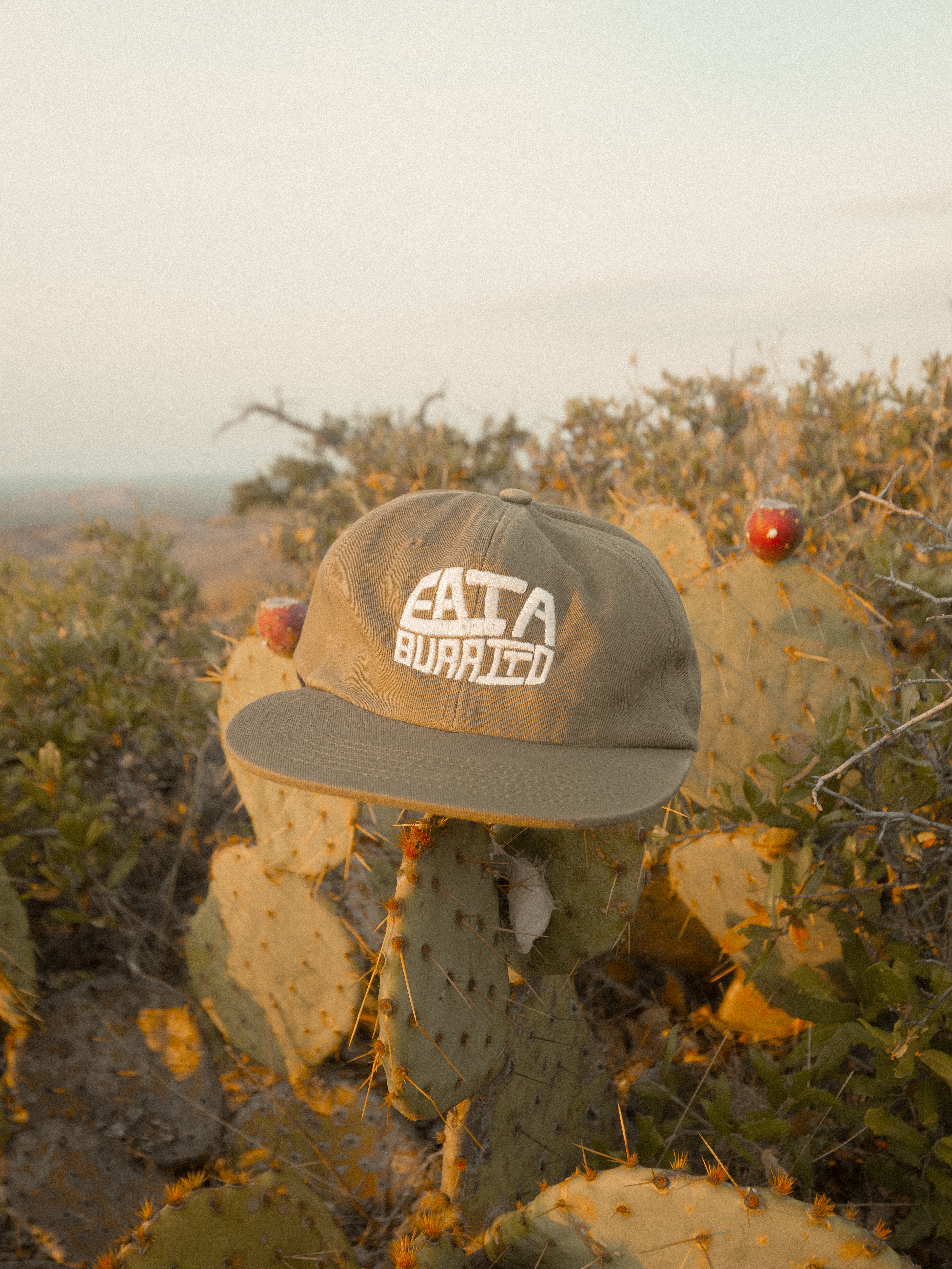 Product photography featuring a hat and logo designed by yours truly