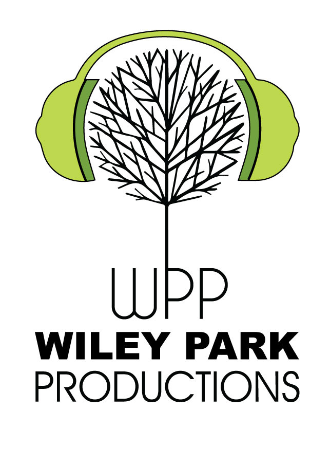 Logo design for music production company