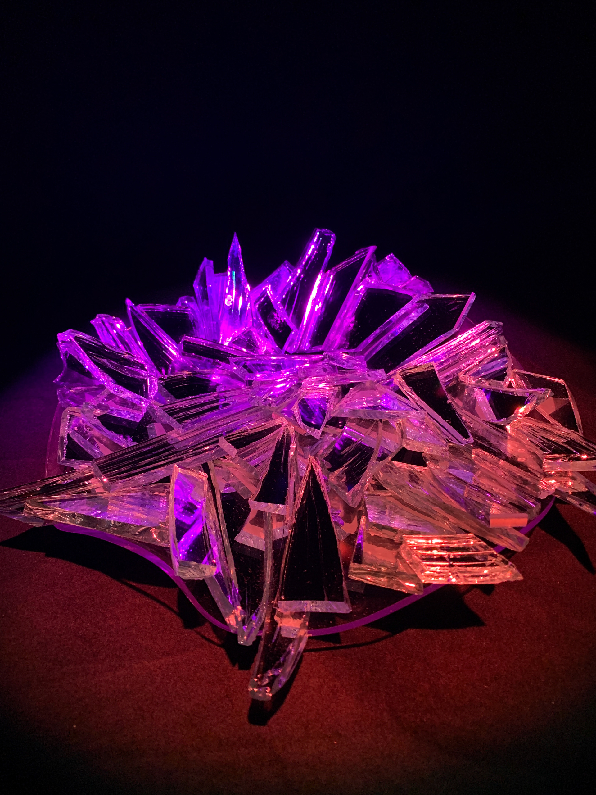 Black and White Environment