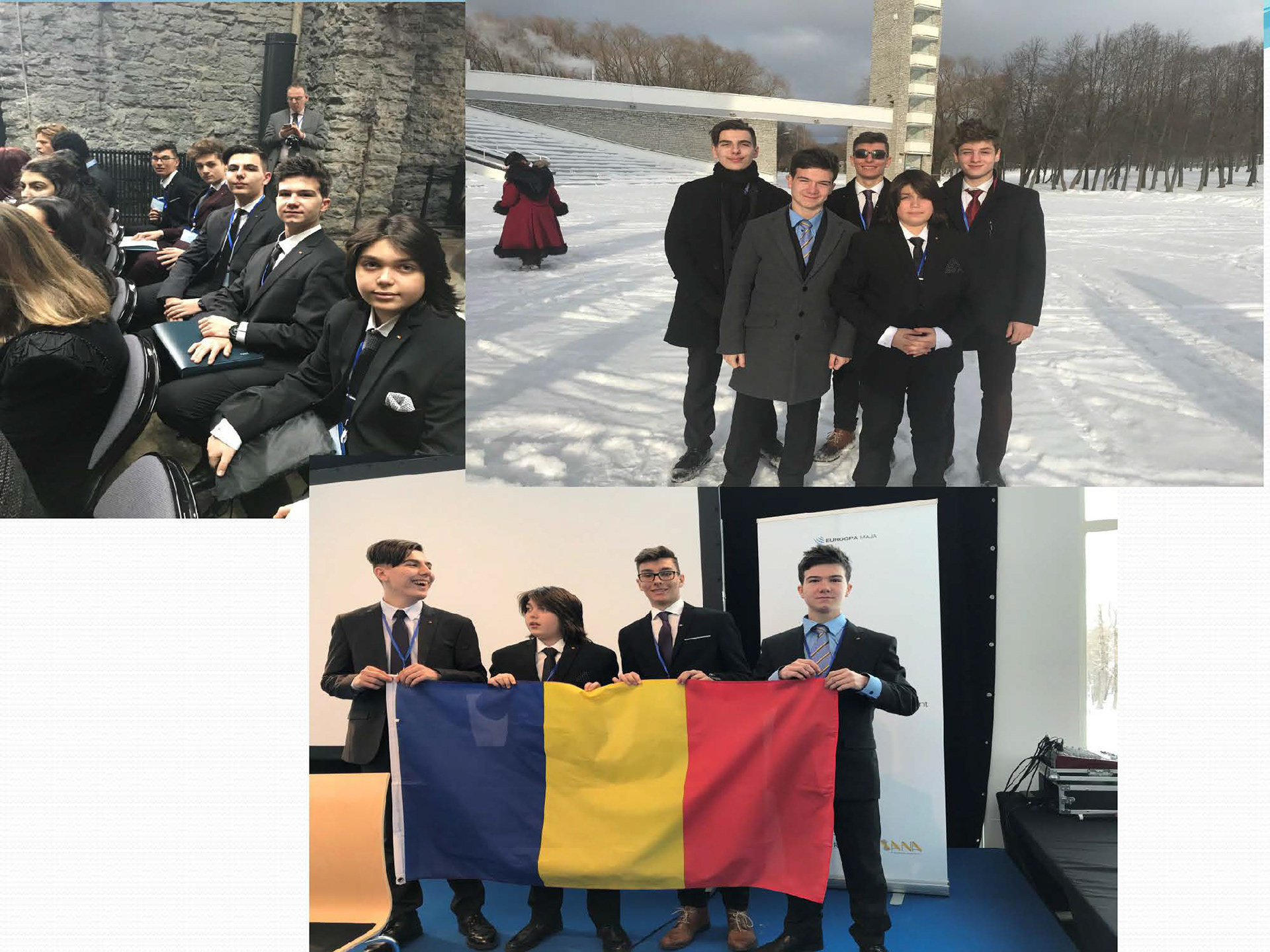 MEP ESTONIA DELEGATIA ROMÂNIEI 