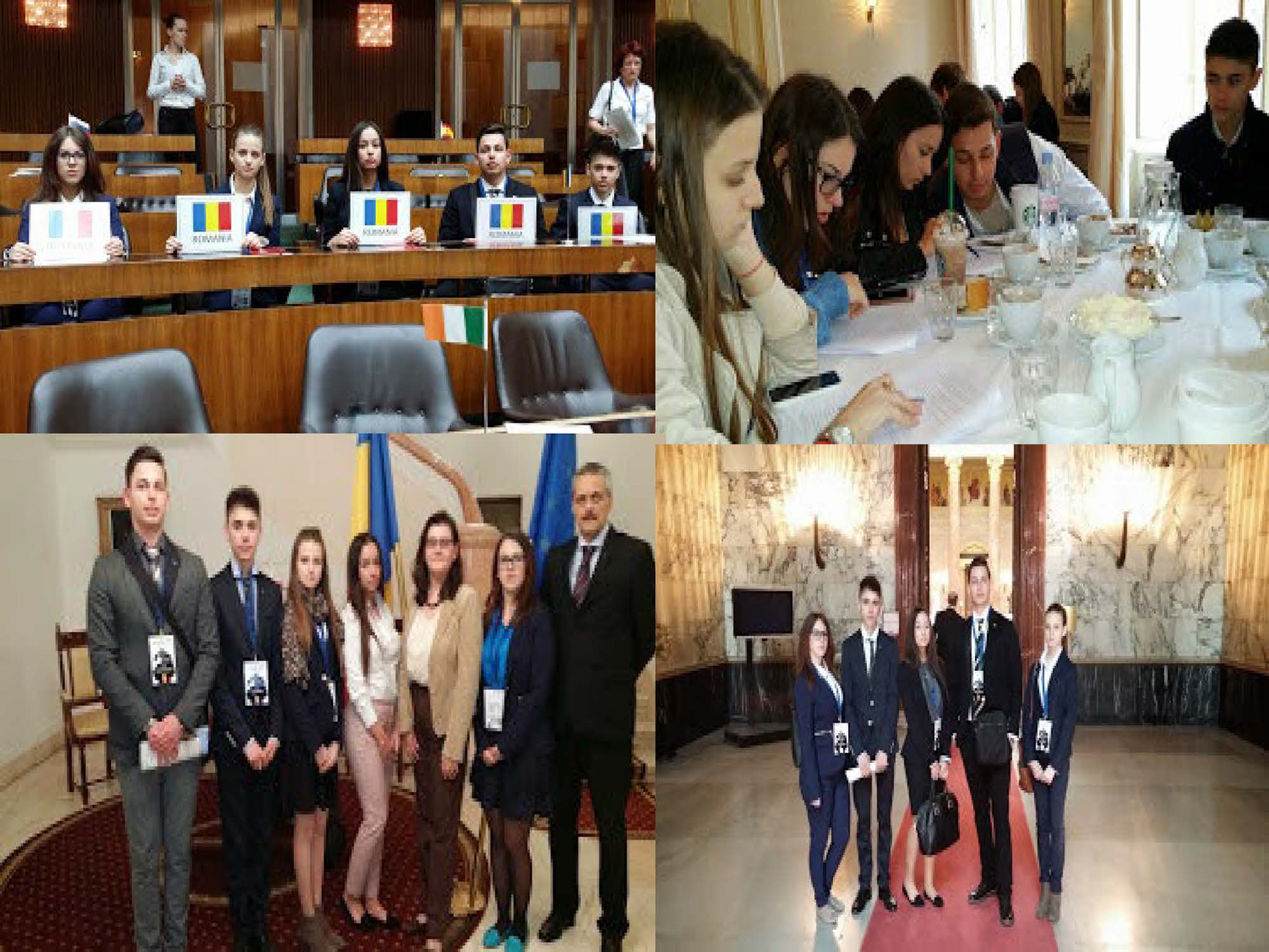 MEP INTERNAȚIONAL VIENA 