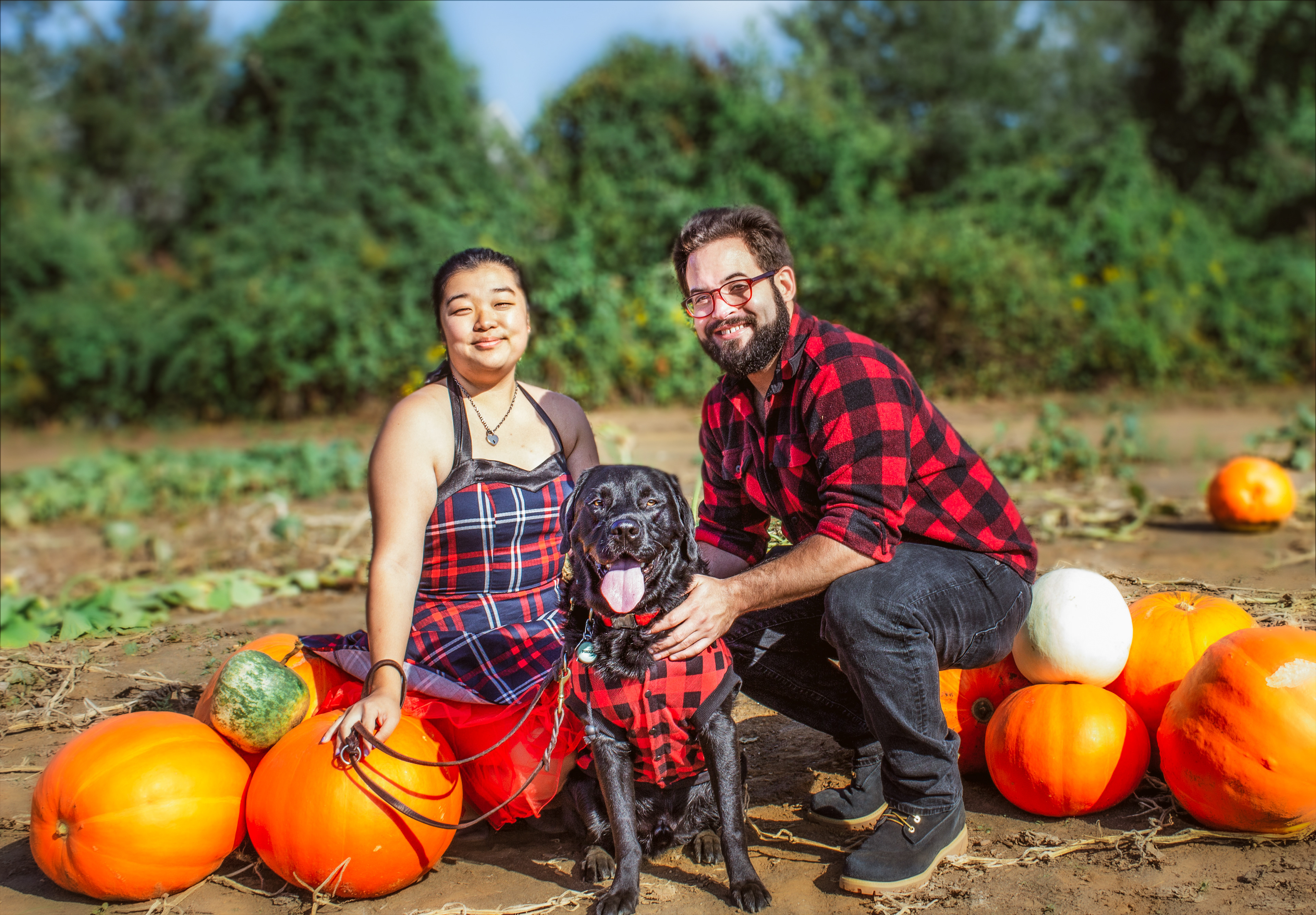 In the Pumpkin Patch