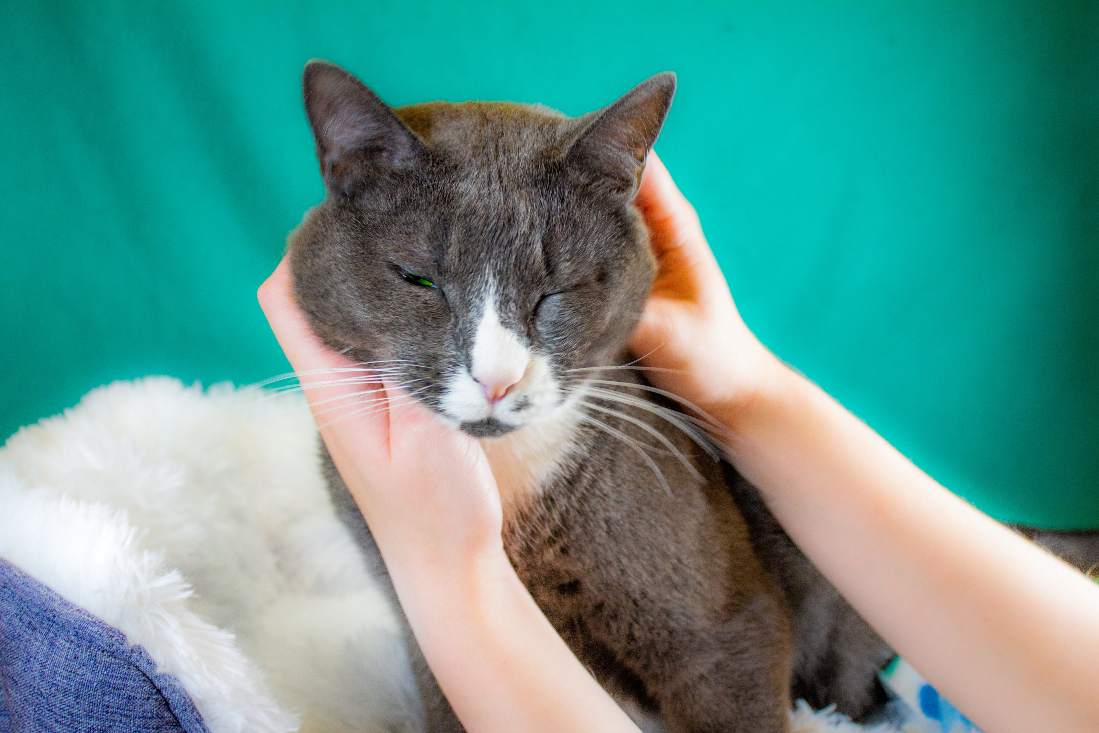 Photos must be paid for with affection