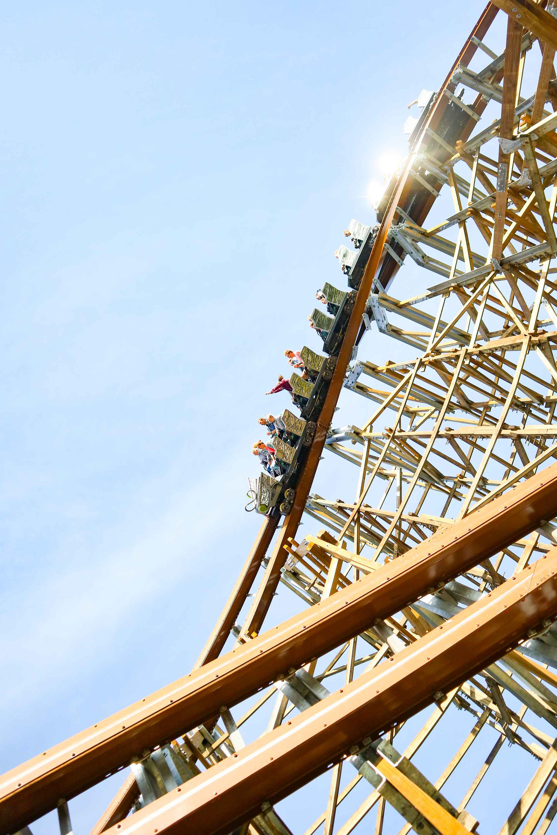 Untamed - Walibi Holland