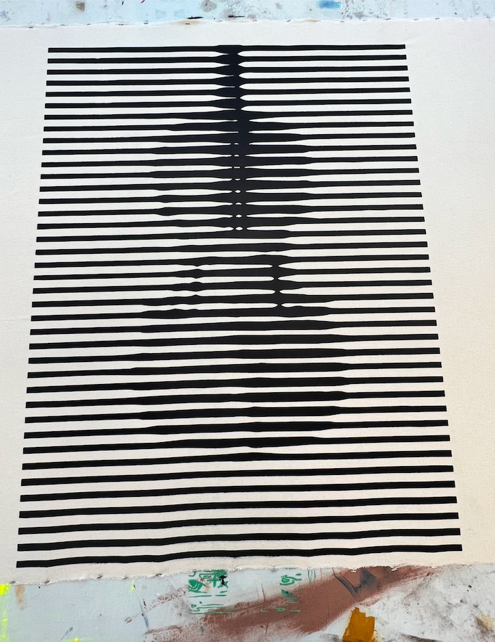 Optical illusion print (2024)