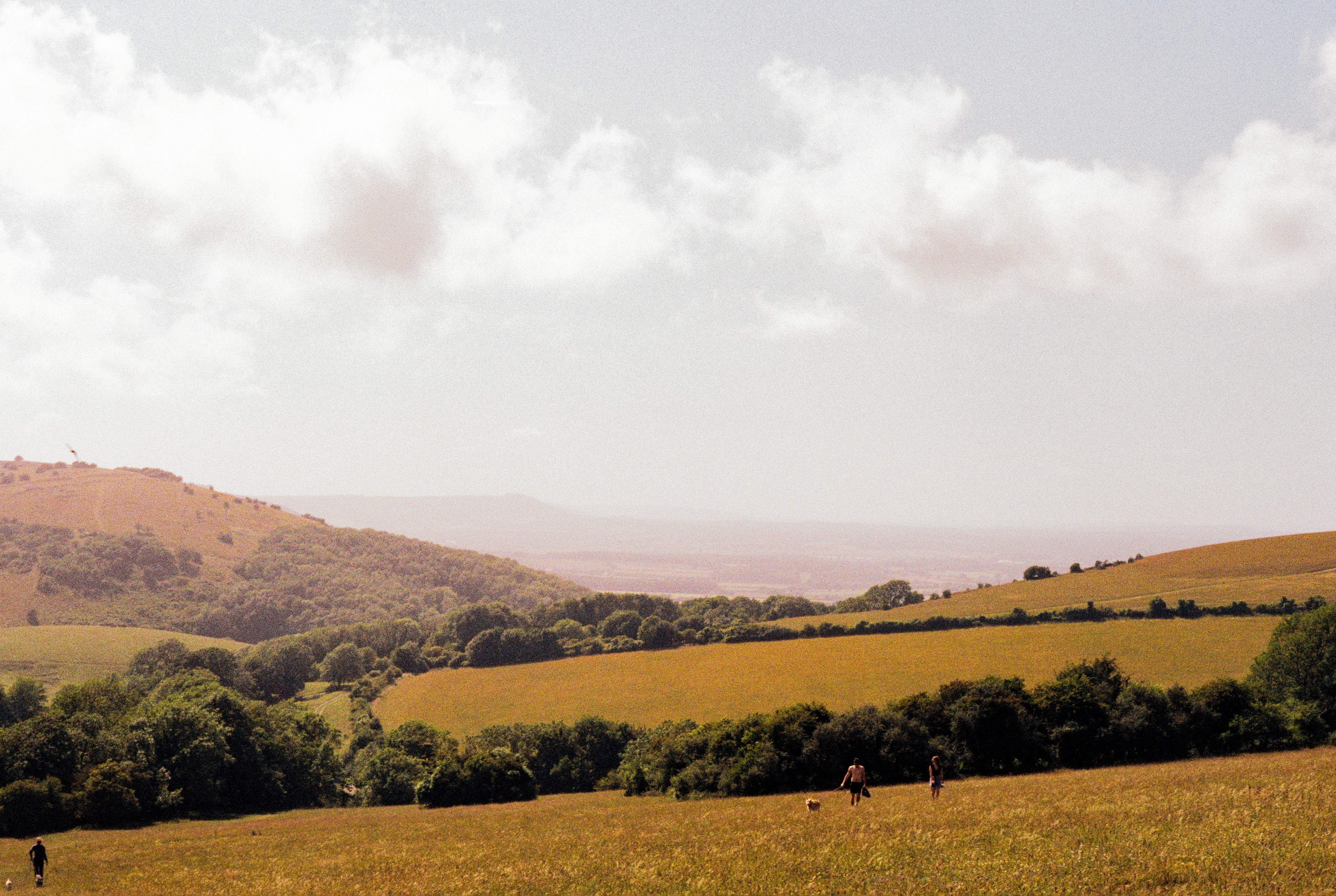 anon in the South Downs 2020