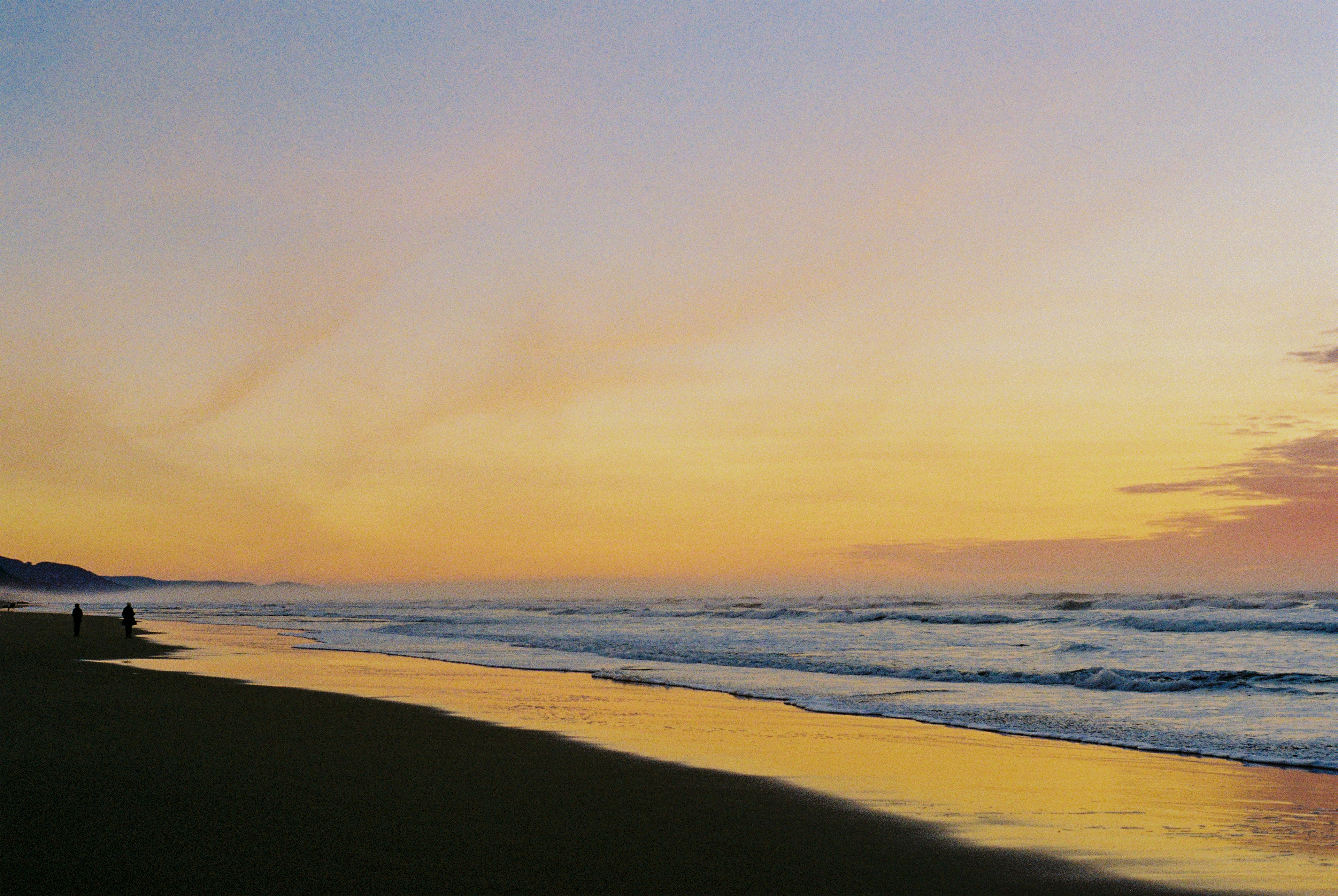 anon in Manzanita 2019