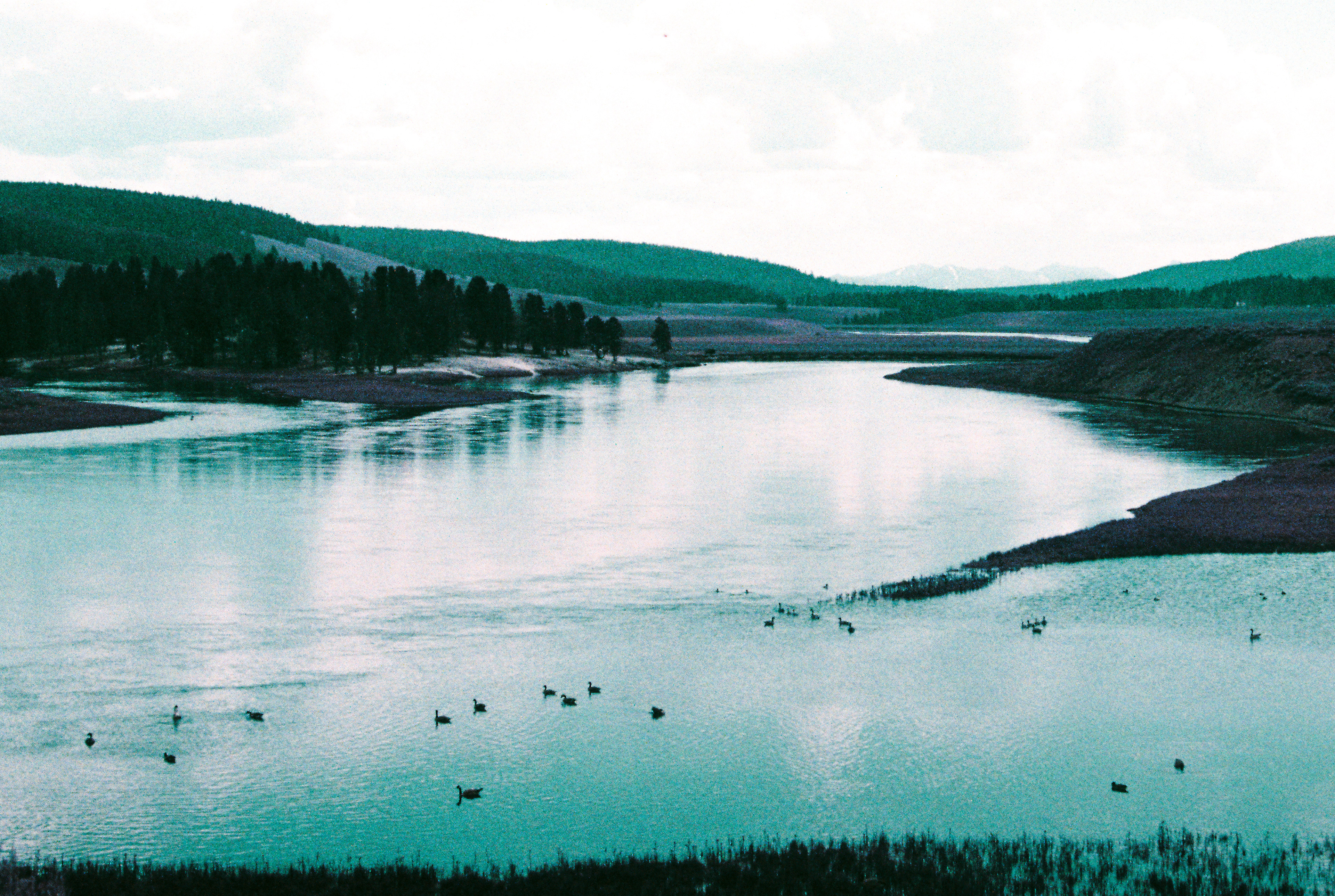 Anon in Yellowstone 2019