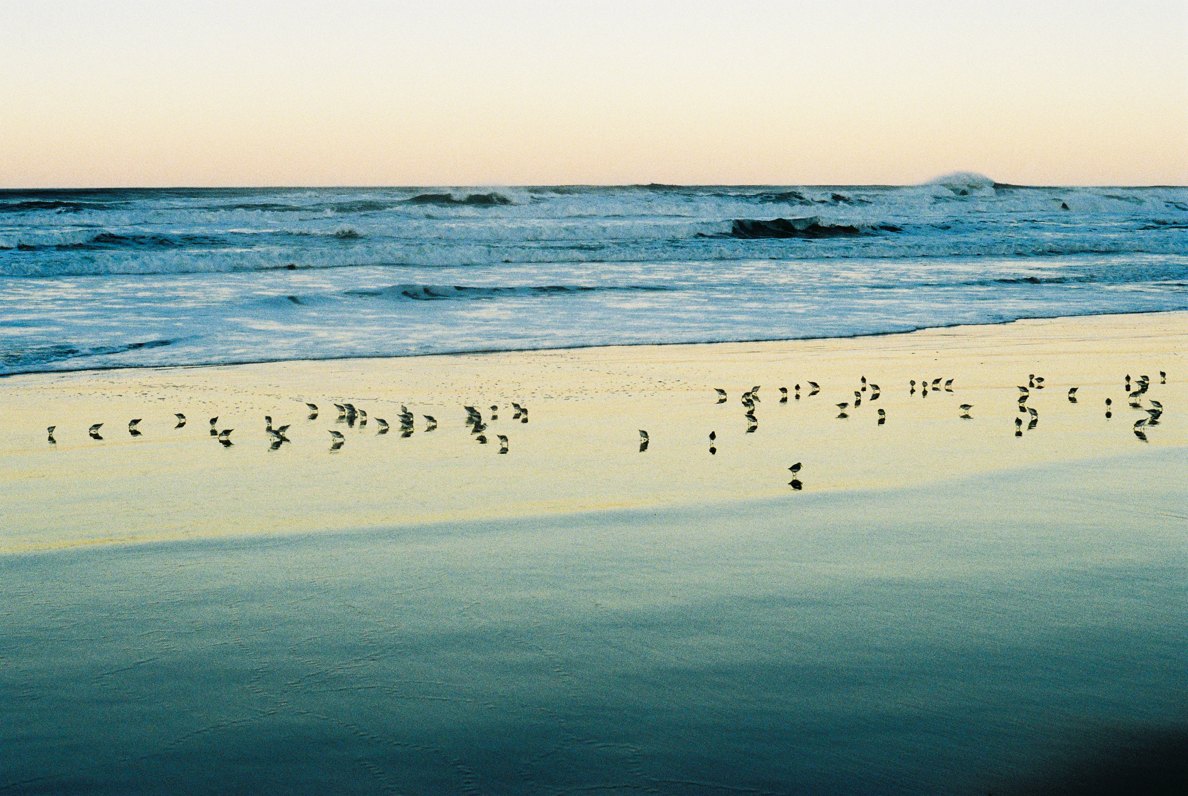 Anon in Manzanita 2019