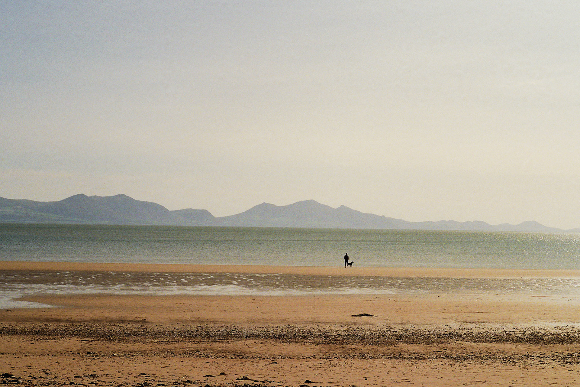 anon in Angelsey 2020