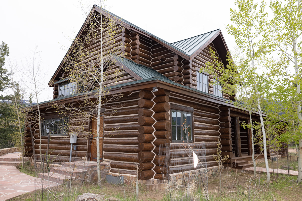 Oil-Based vs. Water-Based Stains for Log Homes: Sashco and Permachink Compared