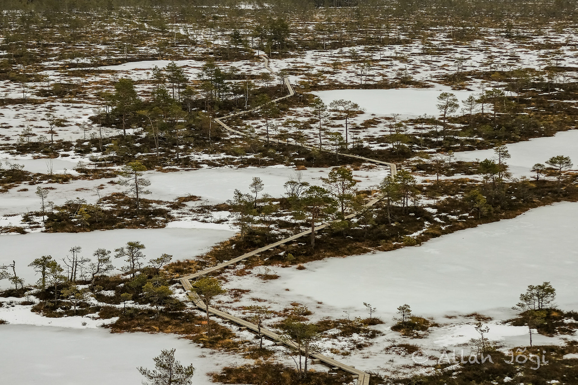 Mukri Swamp