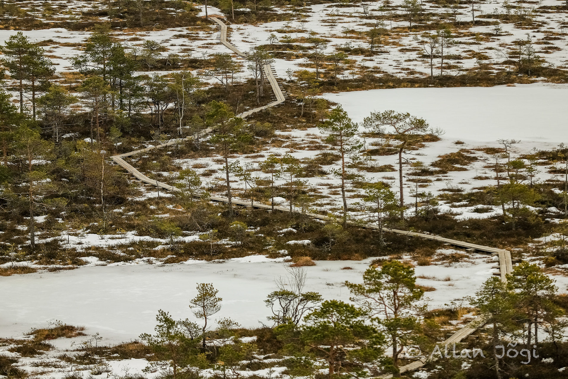 Mukri Swamp