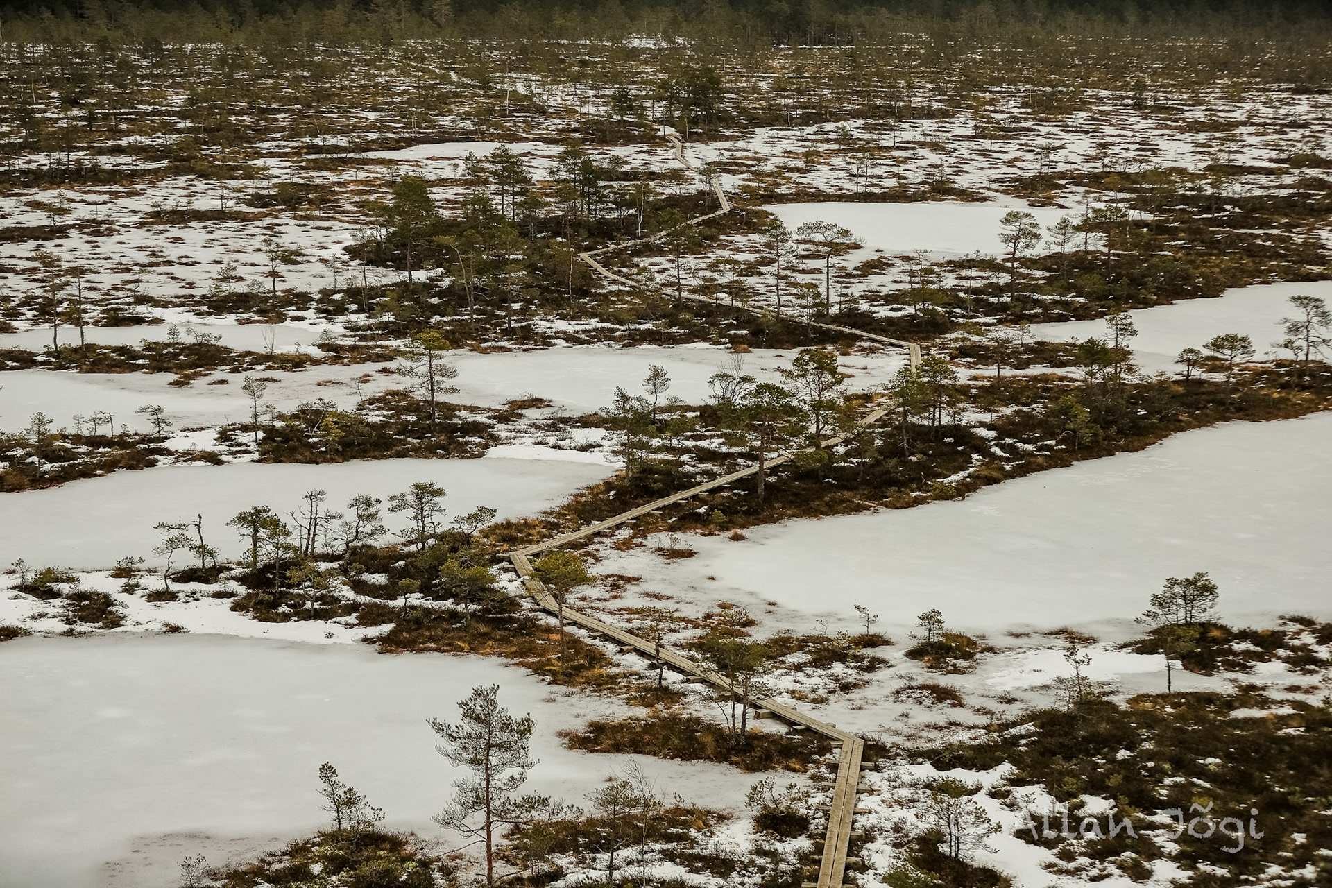 Mukri Swamp