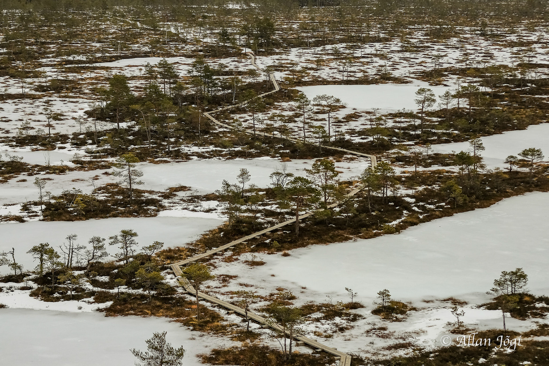 Mukri Swamp