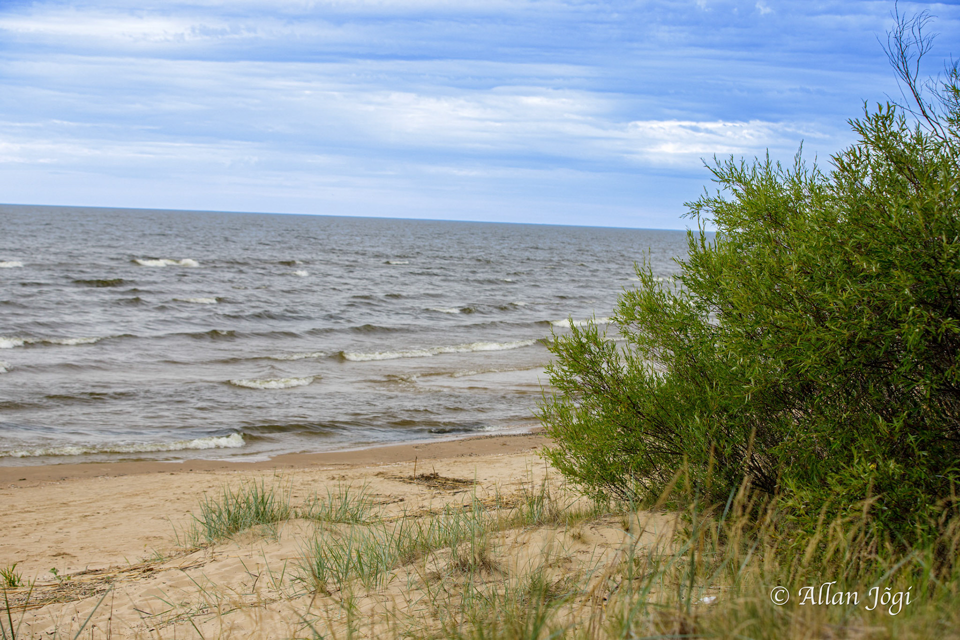 Peipsi Lake, Alajõe, Ida-Viru County