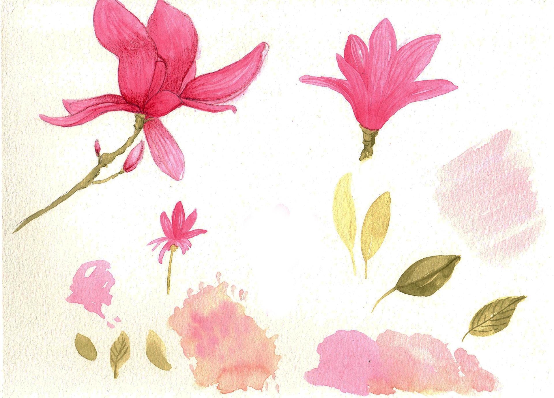 Aquarela que deu origem à estampa deste projeto