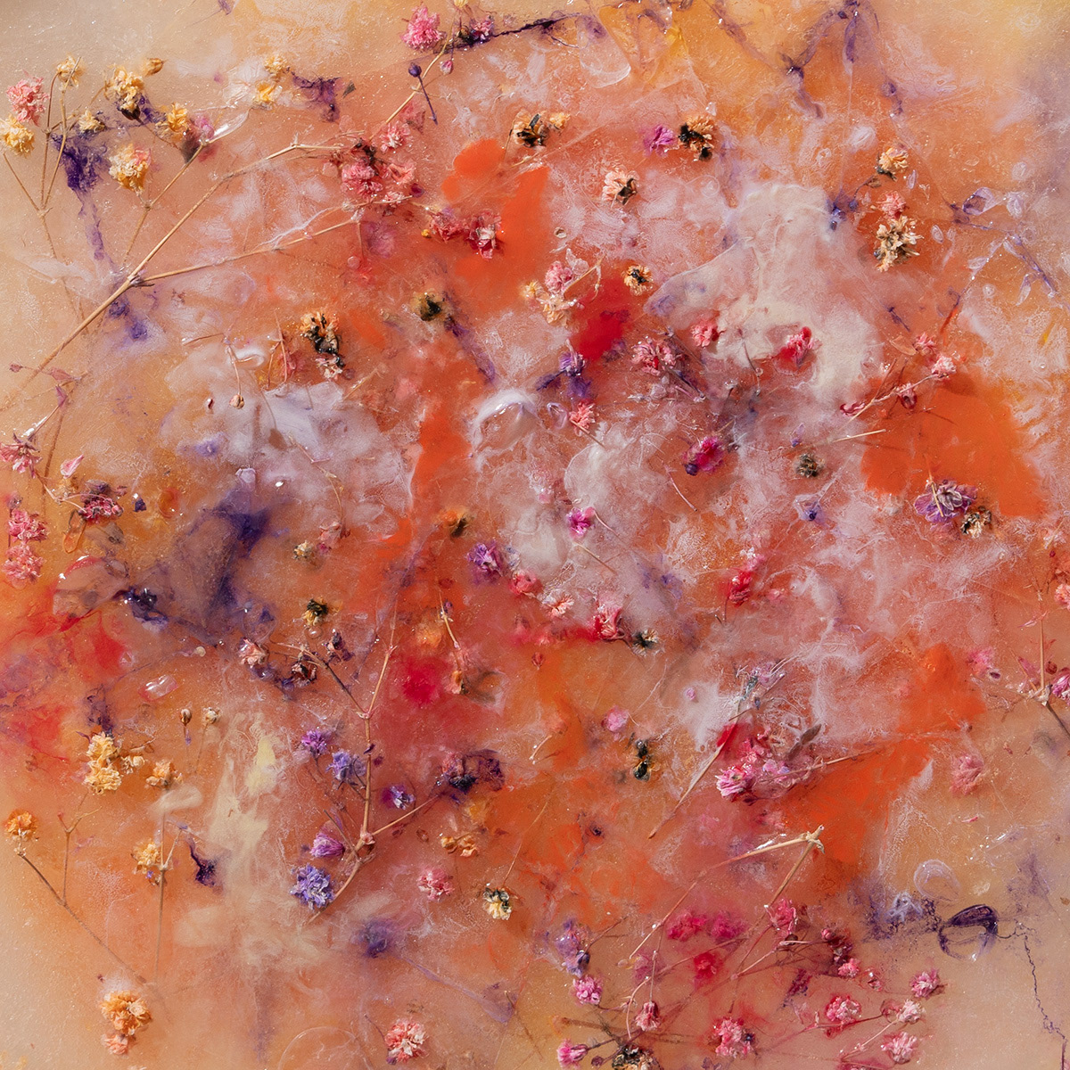 Coloured gypsophila, 60x60 cm