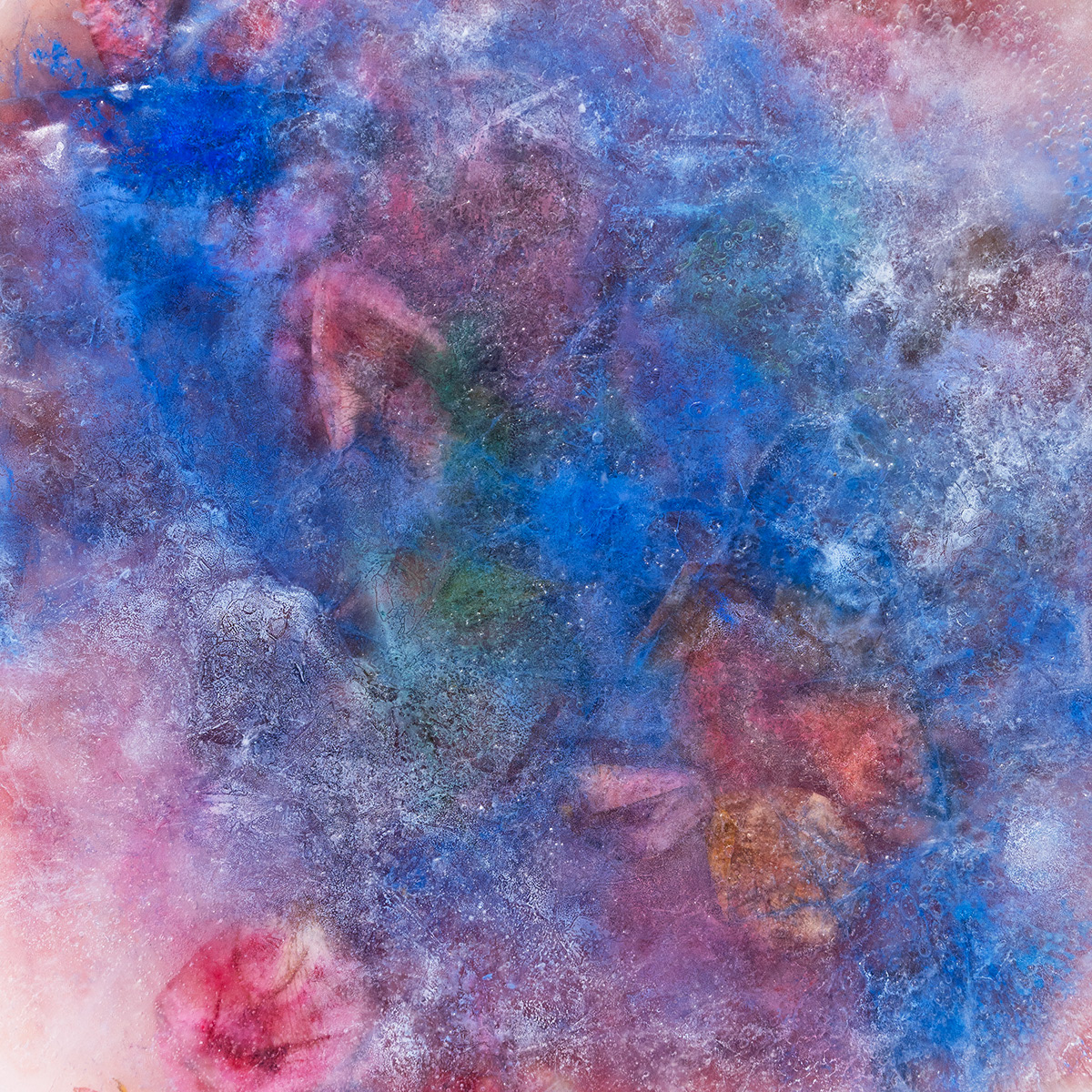 Pink Rose, 60x60 cm