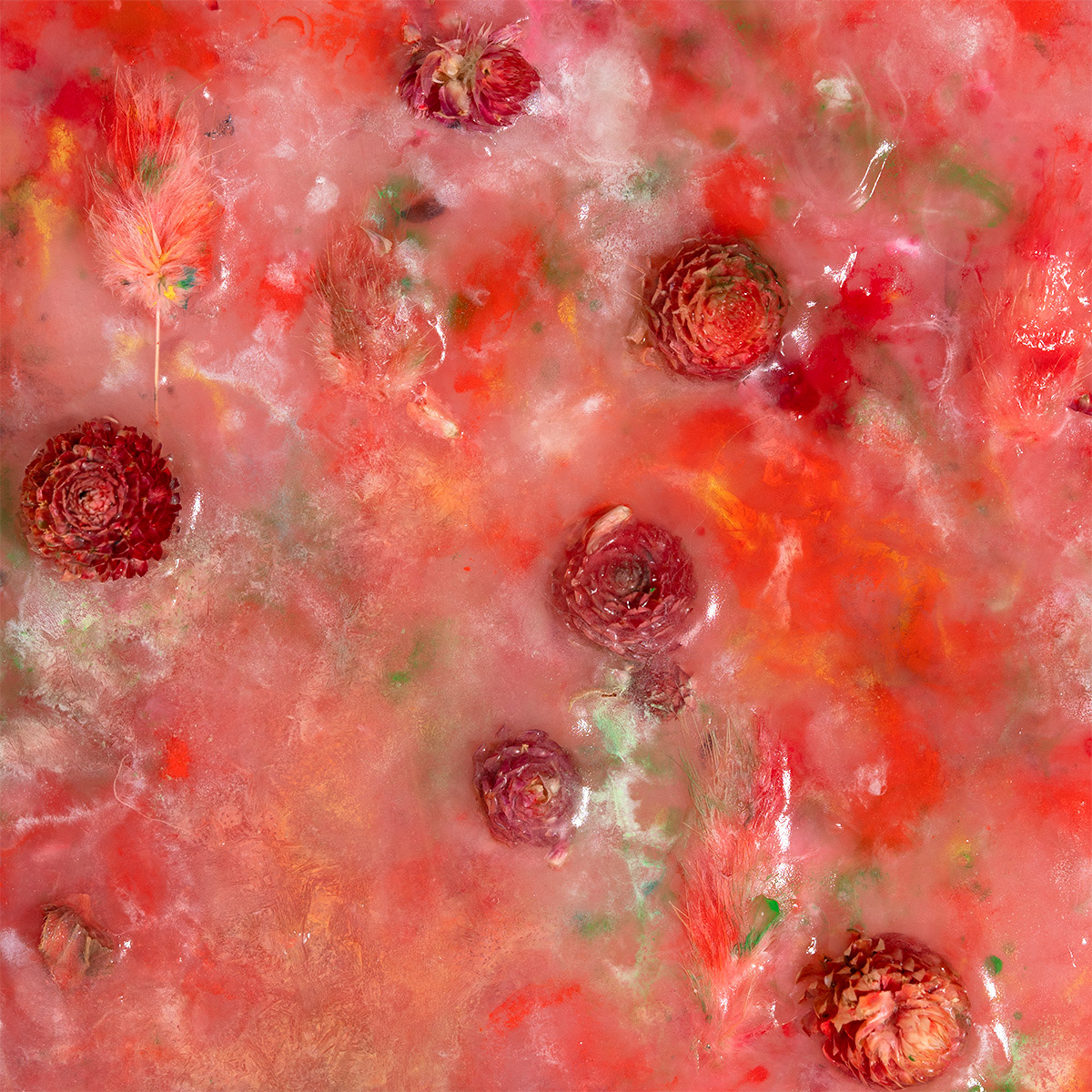 Red clover & Lagurus, 60x60 cm