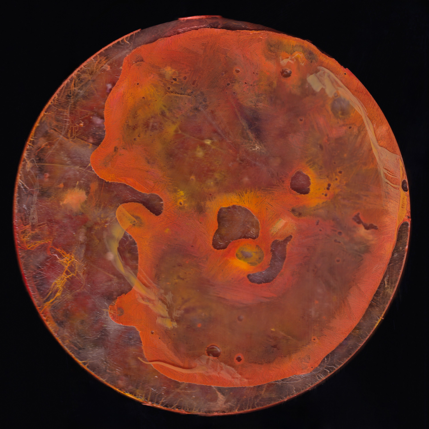 Back side of colored gypsofila (2024) 
