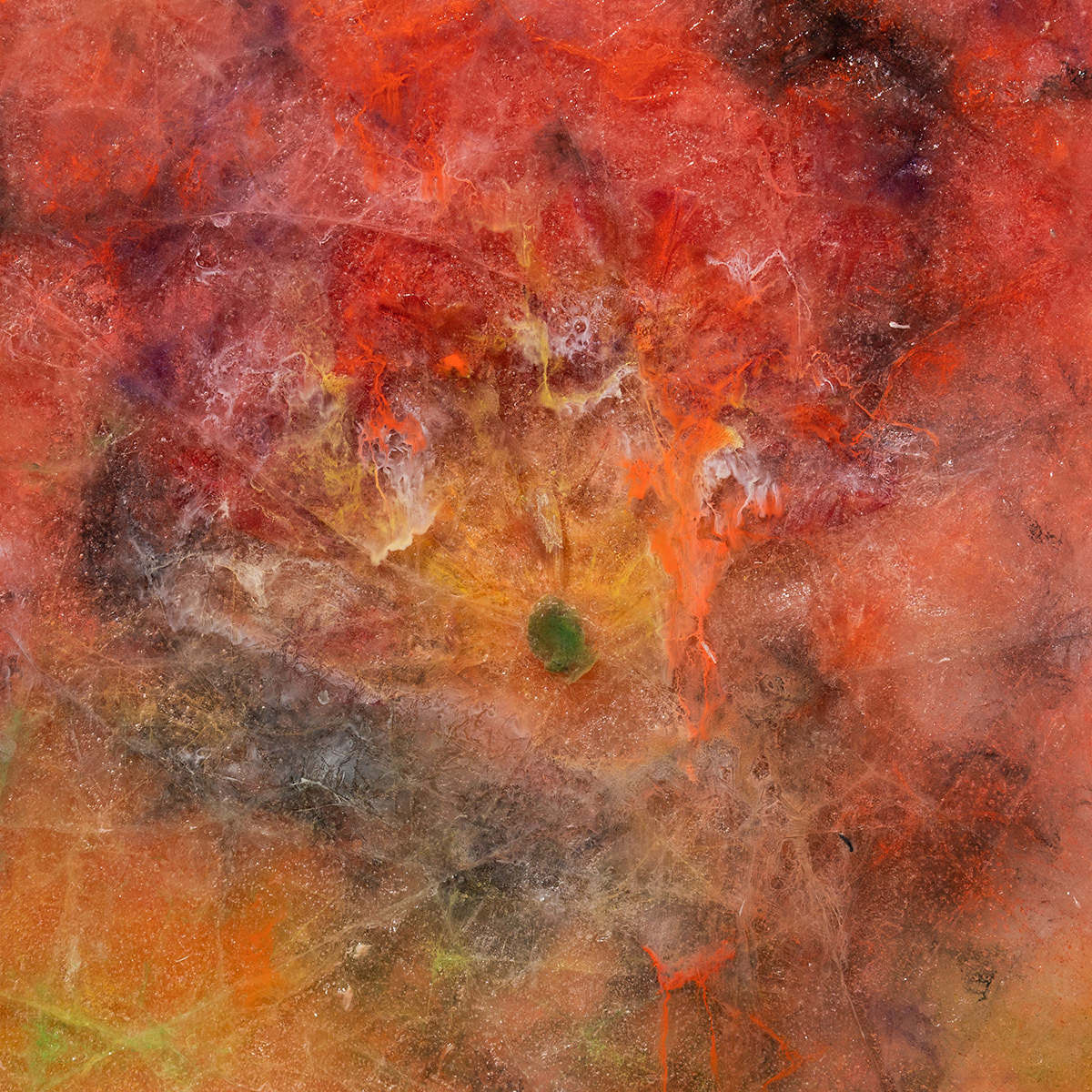 Red tulips, 60x60 cm